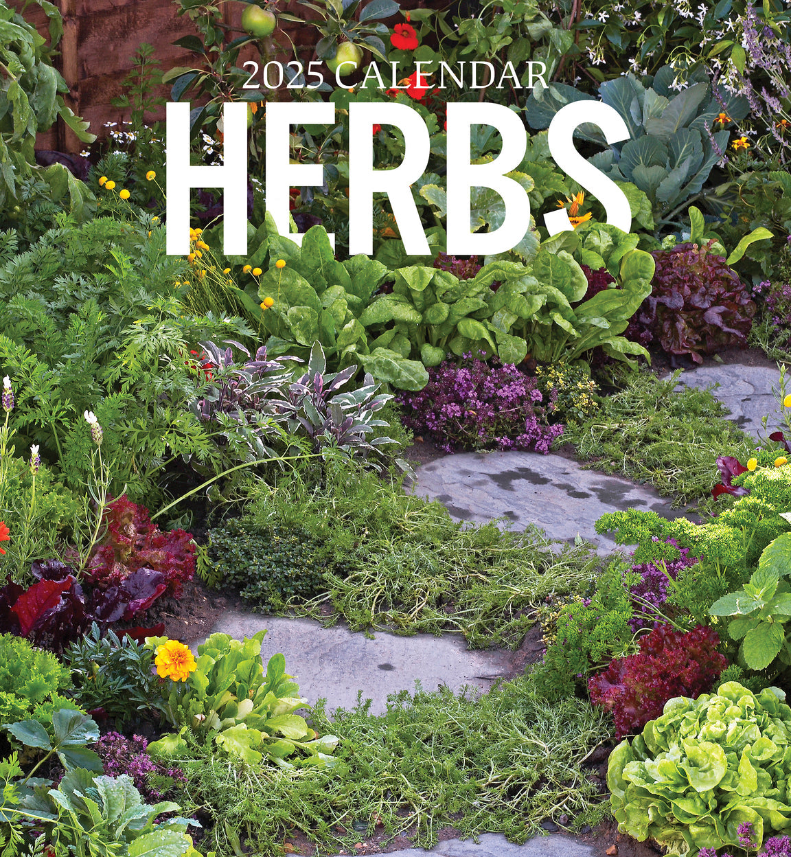 2025 Herbs - Square Wall Calendar