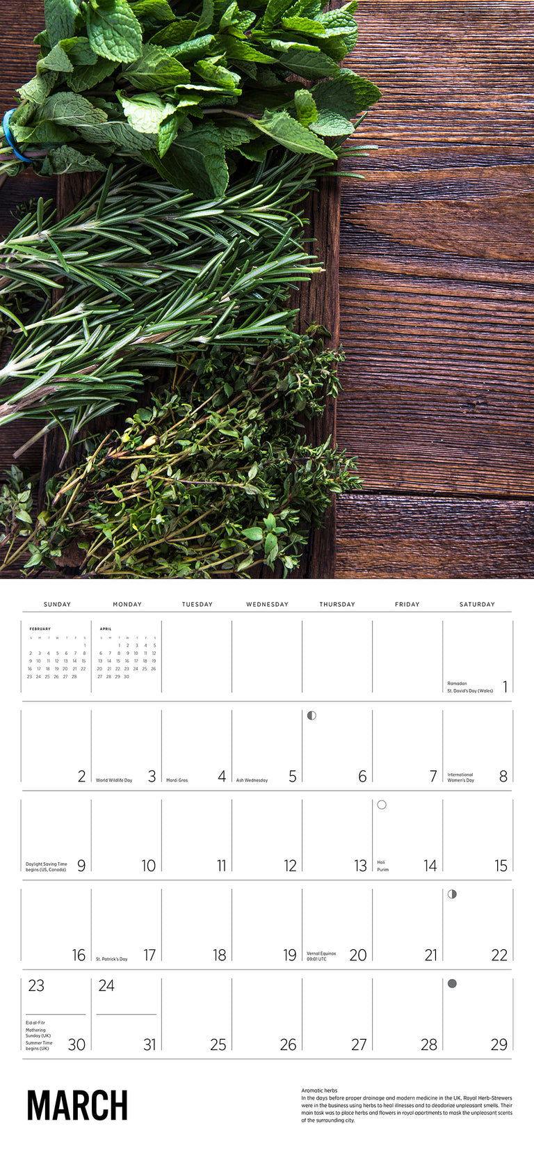 2025 Herbs Square Wall Calendar