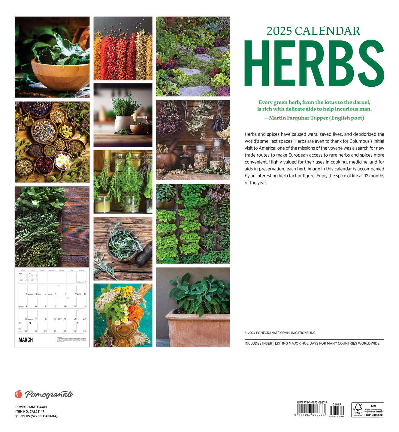 2025 Herbs - Square Wall Calendar