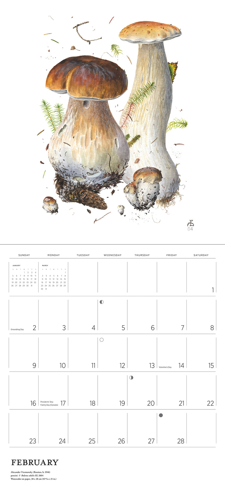 2025 Mushrooms: Alexander Viazmensky - Square Wall Calendar