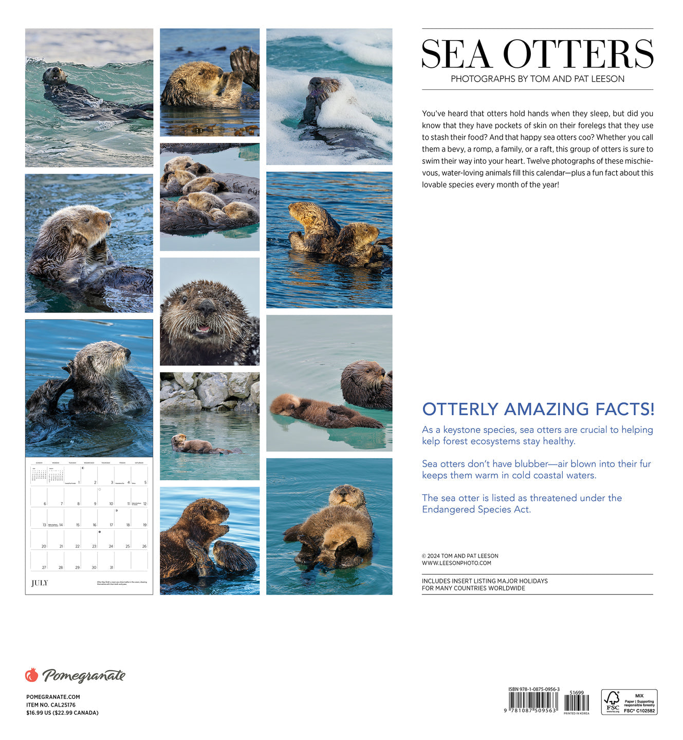 2025 Sea Otters: Photographs By Tom and Pat Leeson - Square Wall Calendar