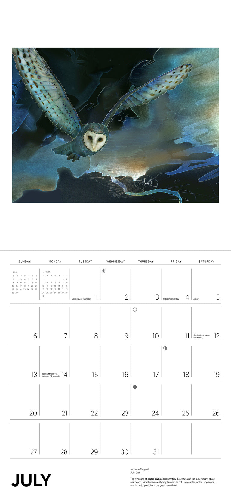 2025 Owls: Jeannine Chappell - Square Wall Calendar