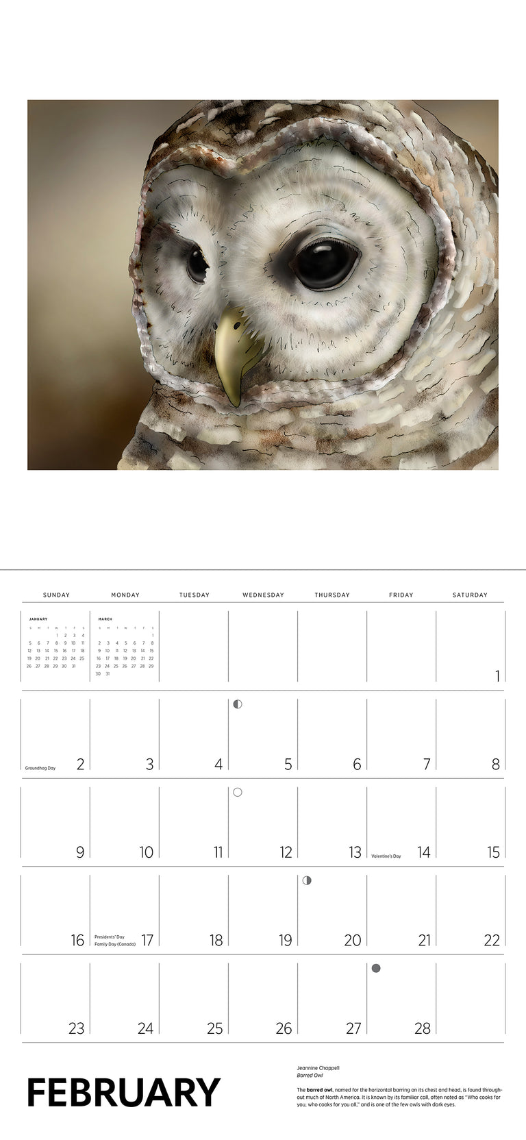 2025 Owls: Jeannine Chappell - Square Wall Calendar