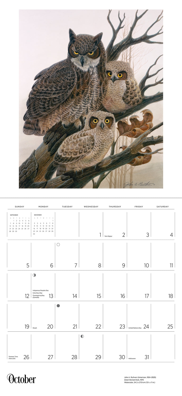 2025 A Birder's View: Paintings By John A. Ruthven - Square Wall Calendar