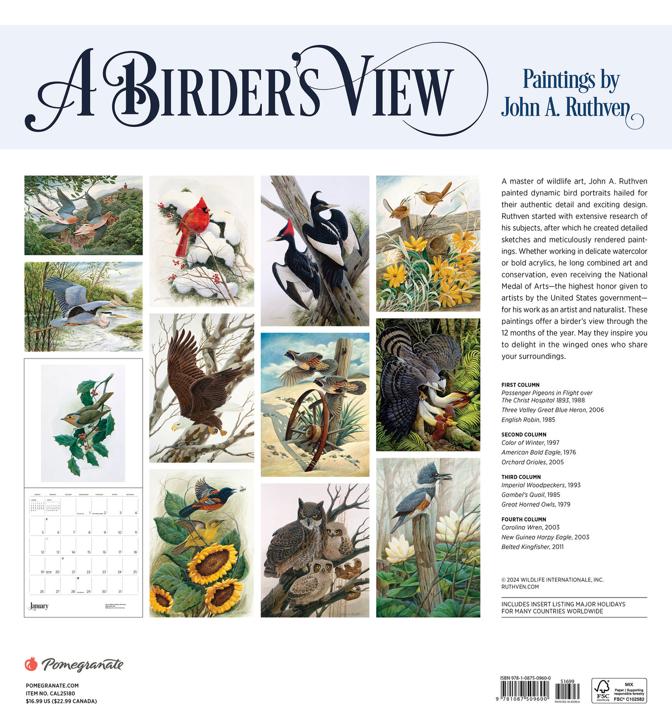 2025 A Birder's View: Paintings By John A. Ruthven - Square Wall Calendar