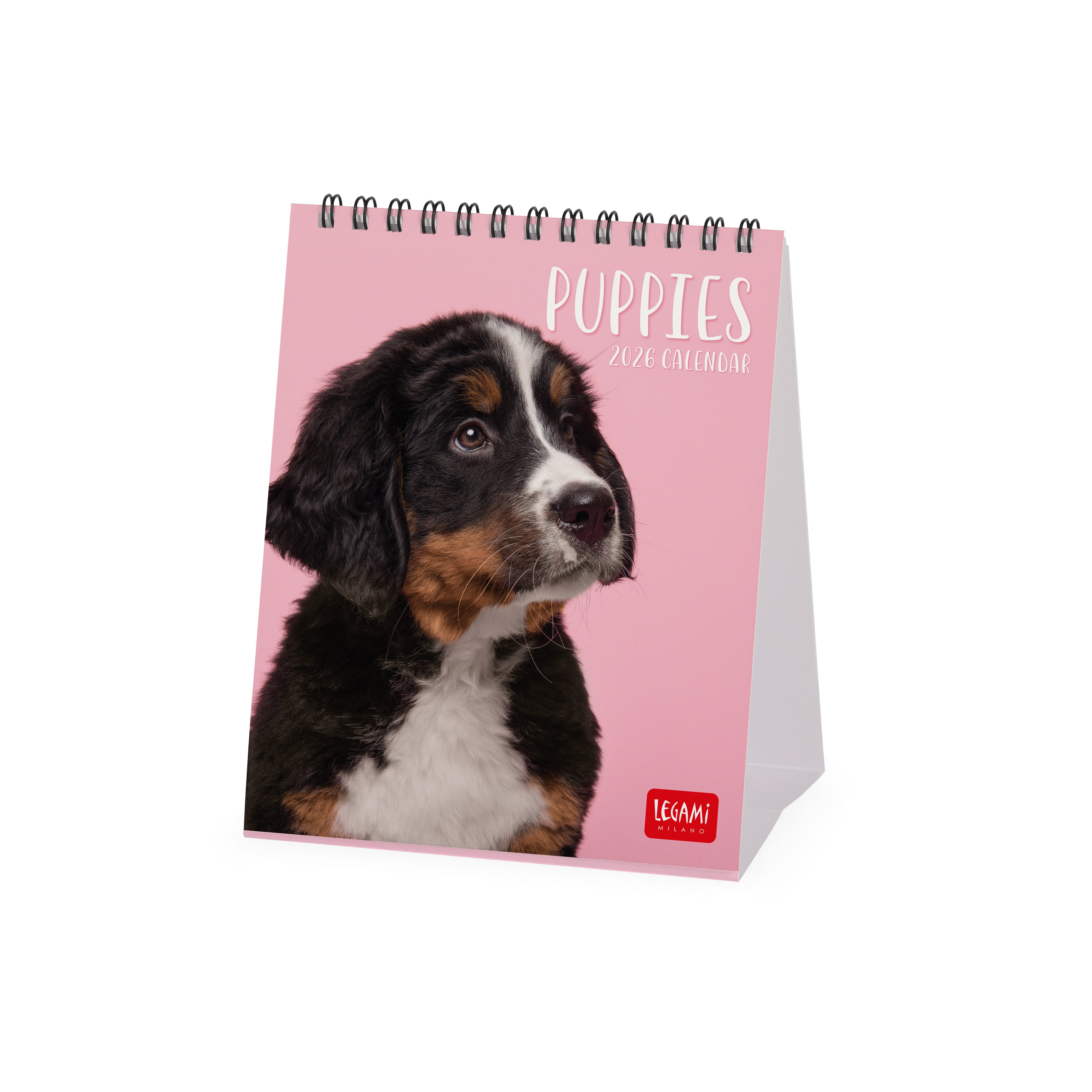 2026 Puppies - Desk Easel Calendar