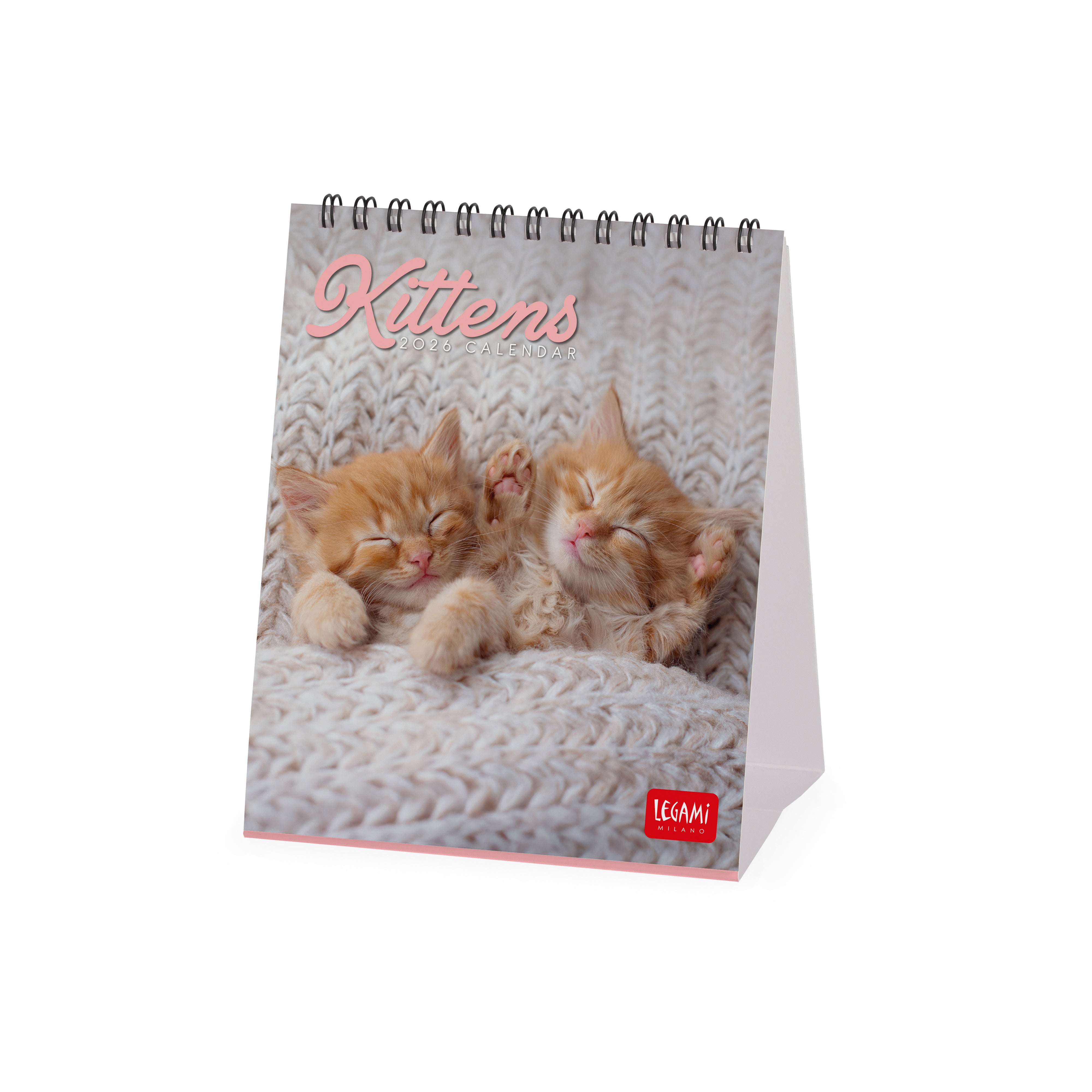 2026 Kittens - Desk Easel Calendar