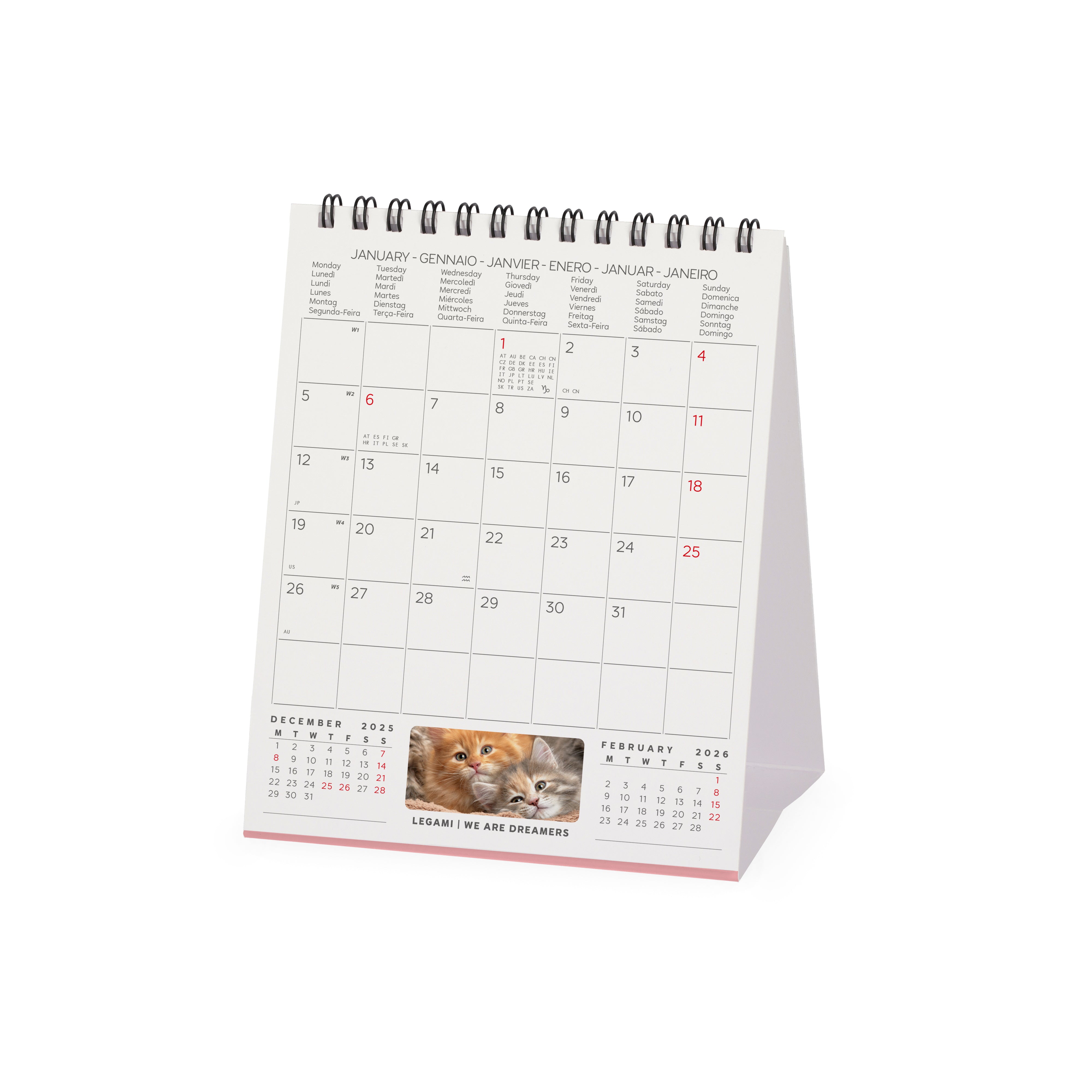 2026 Kittens - Desk Easel Calendar