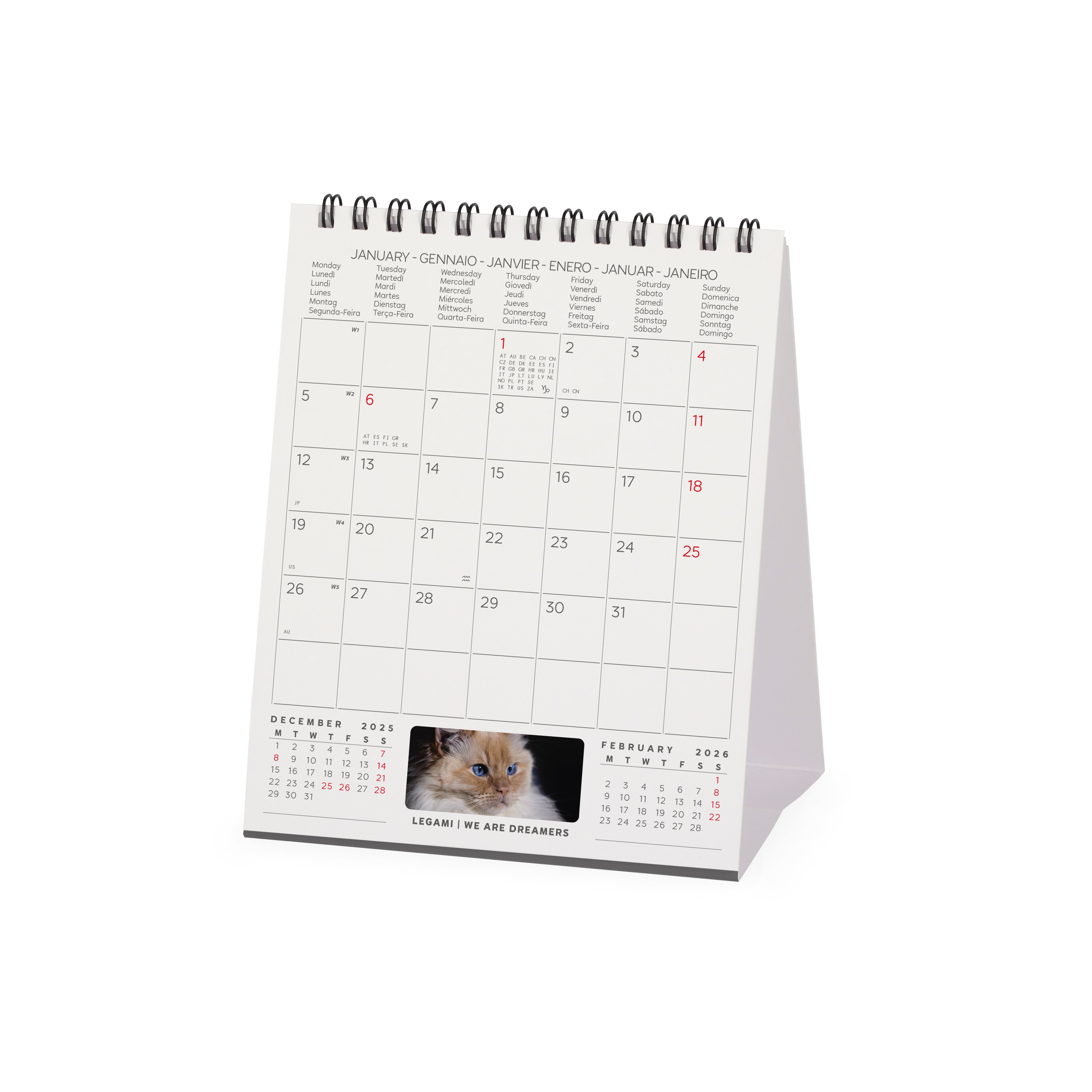 2026 Cats - Desk Easel Calendar