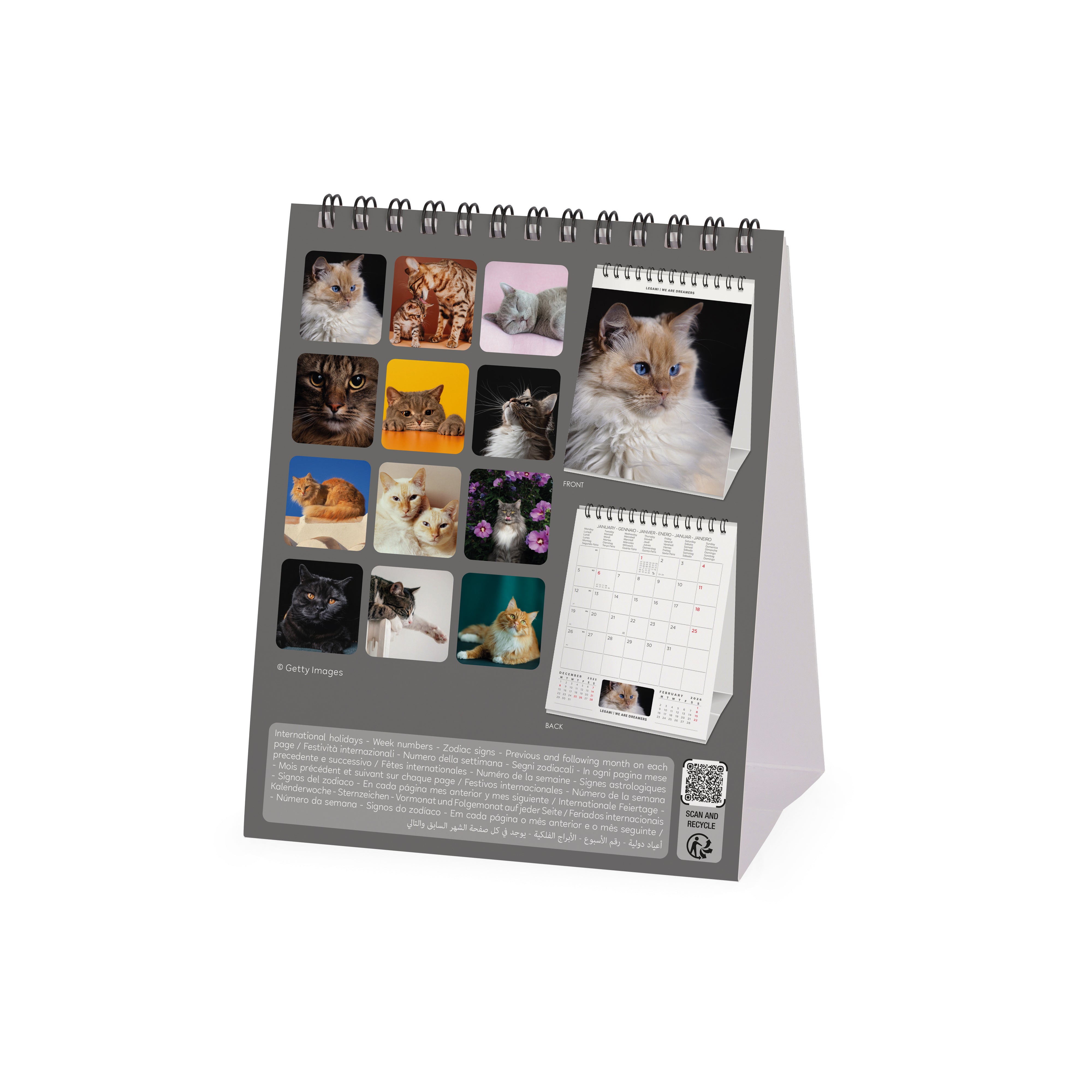2026 Cats - Desk Easel Calendar