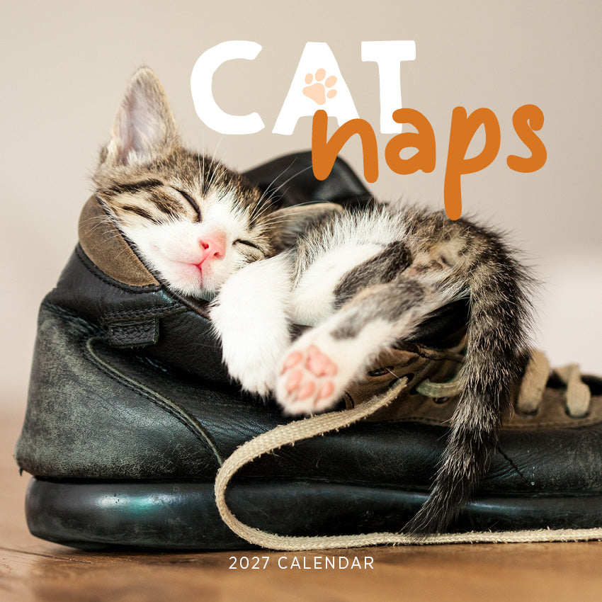 2027 Cat Naps - Square Wall Calendar