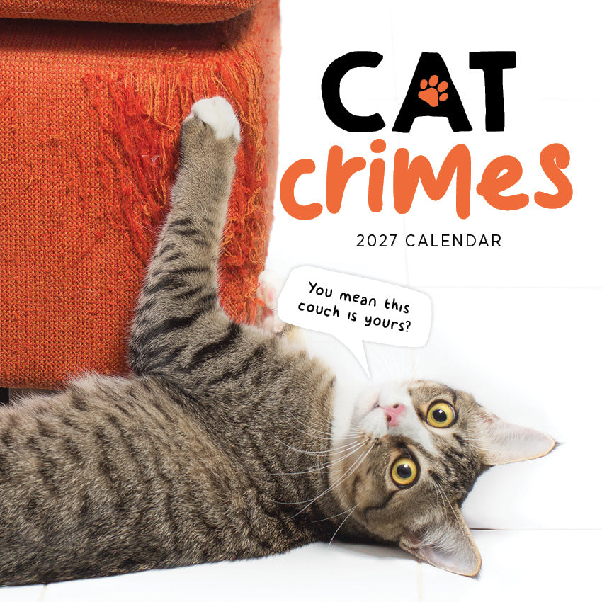 2027 Cat Crimes - Square Wall Calendar