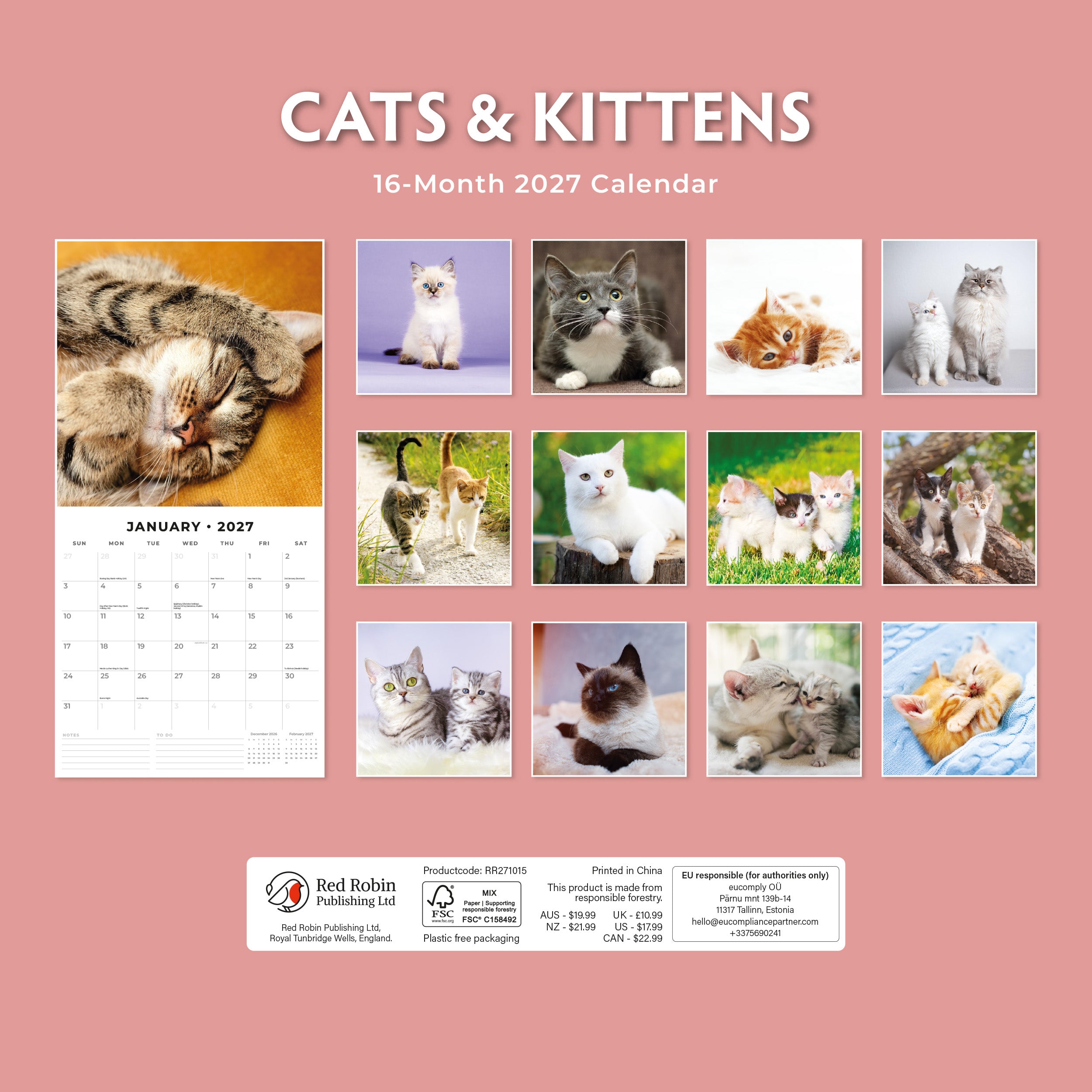 2027 Cats & Kittens - Square Wall Calendar