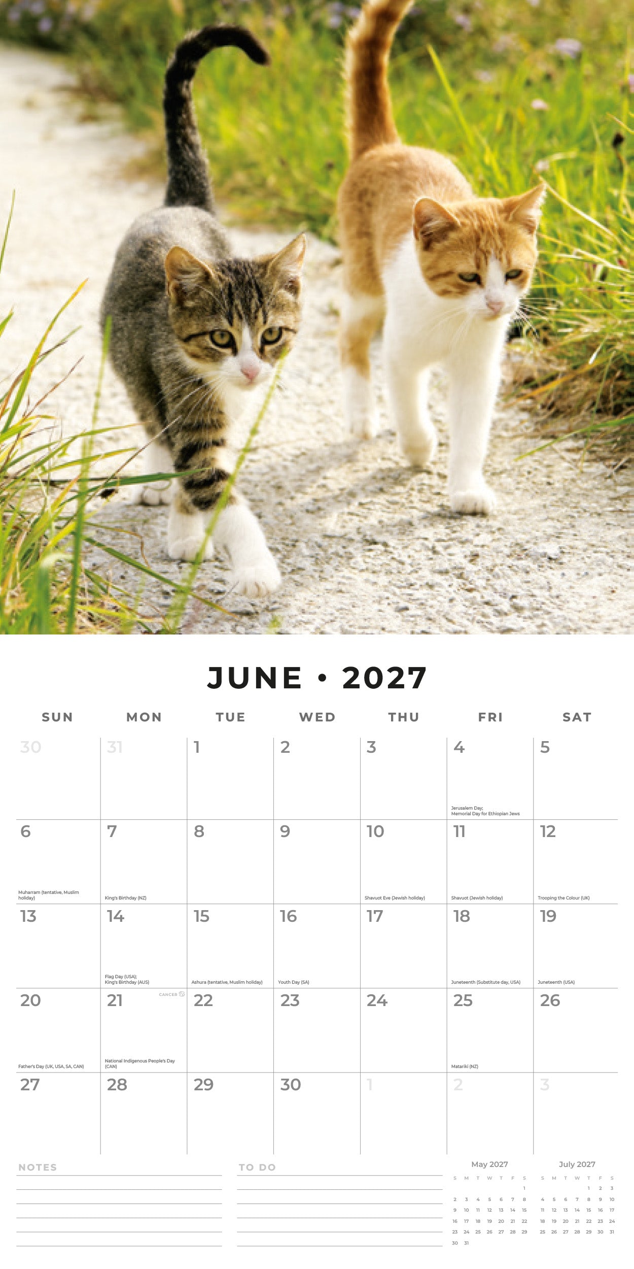 2027 Cats & Kittens - Square Wall Calendar