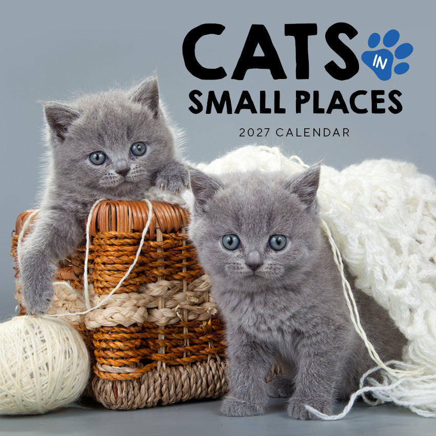 2027 Cats In Small Places - Square Wall Calendar