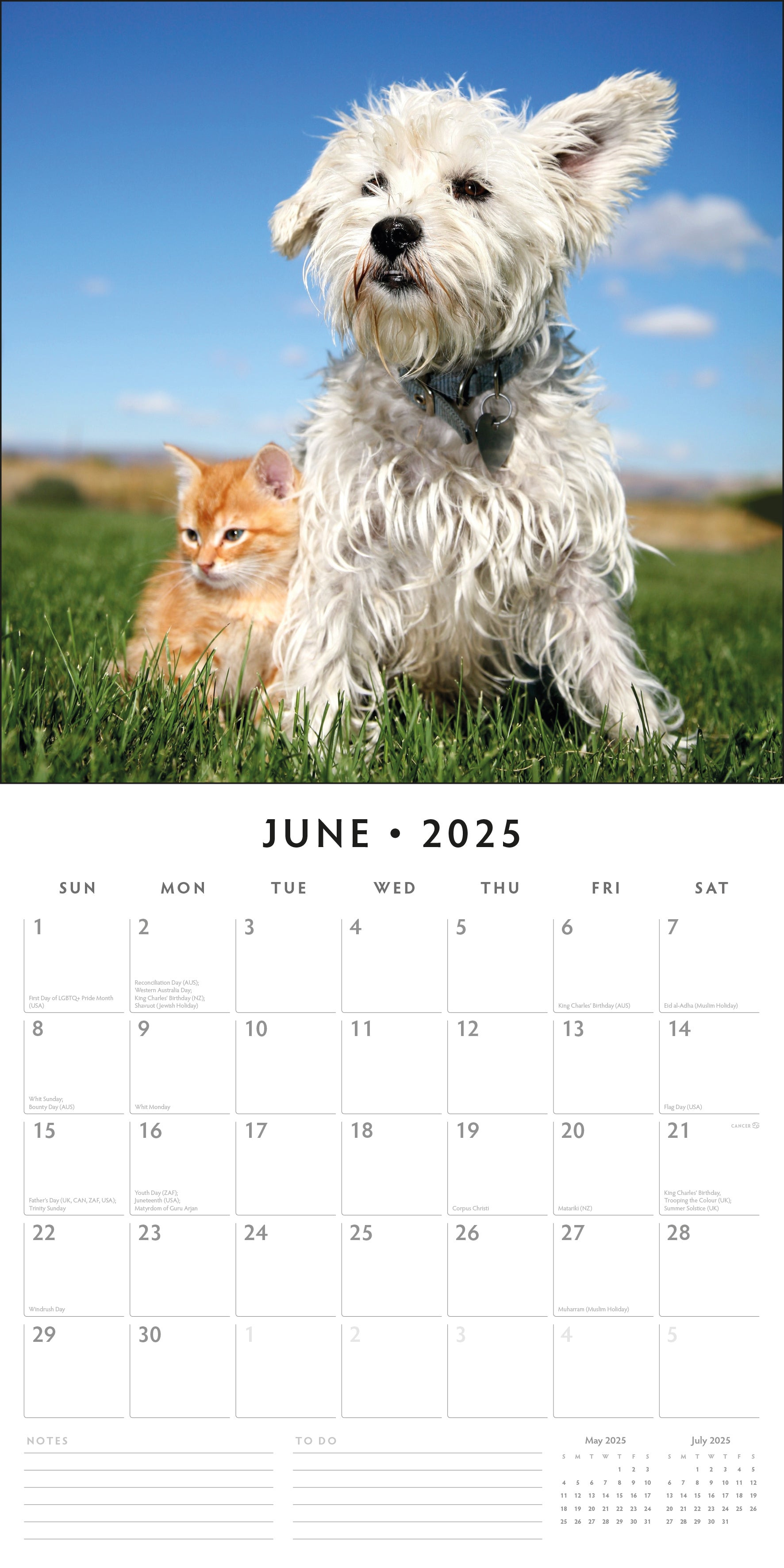 2025 Cats & Dogs - Square Wall Calendar