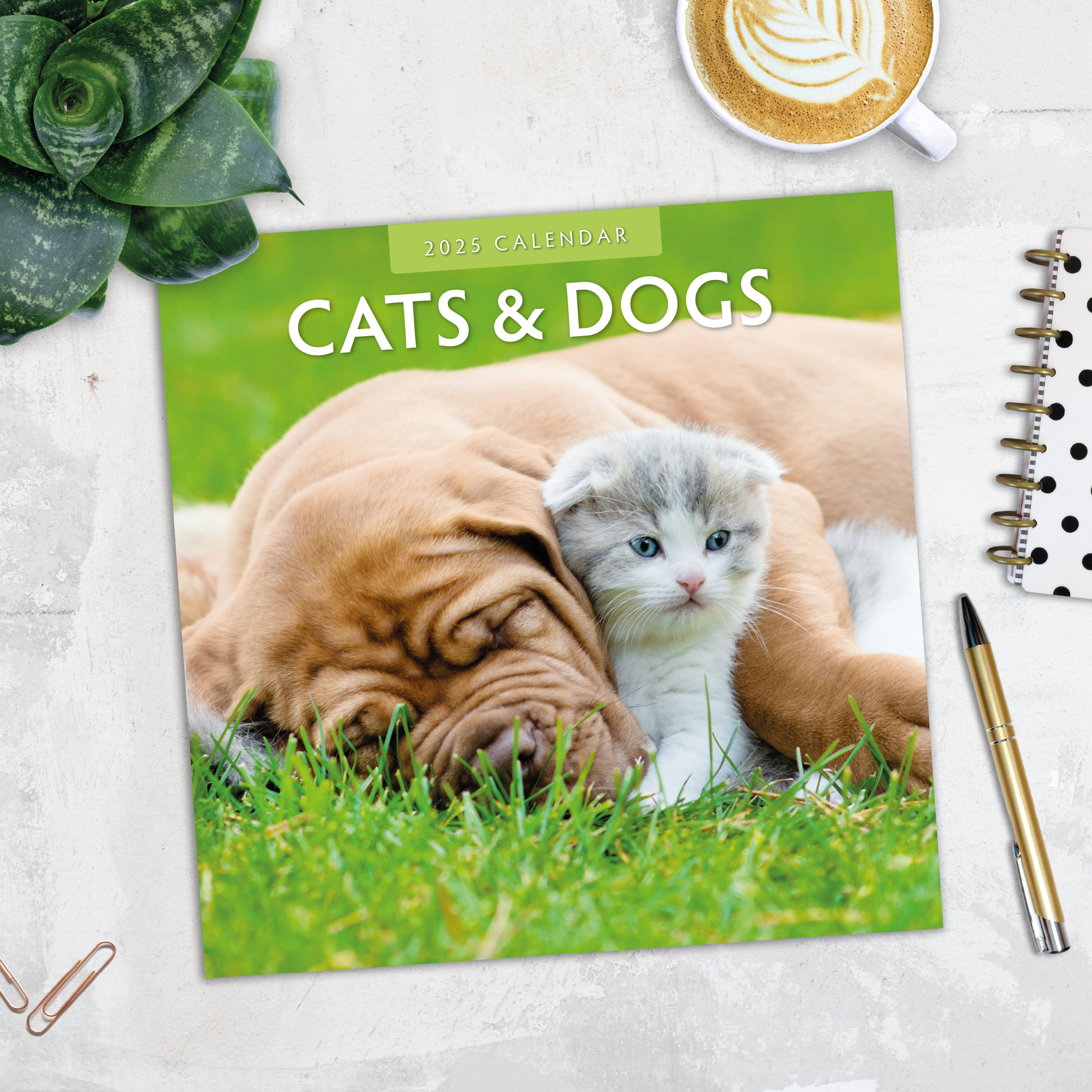 2025 Cats & Dogs - Square Wall Calendar