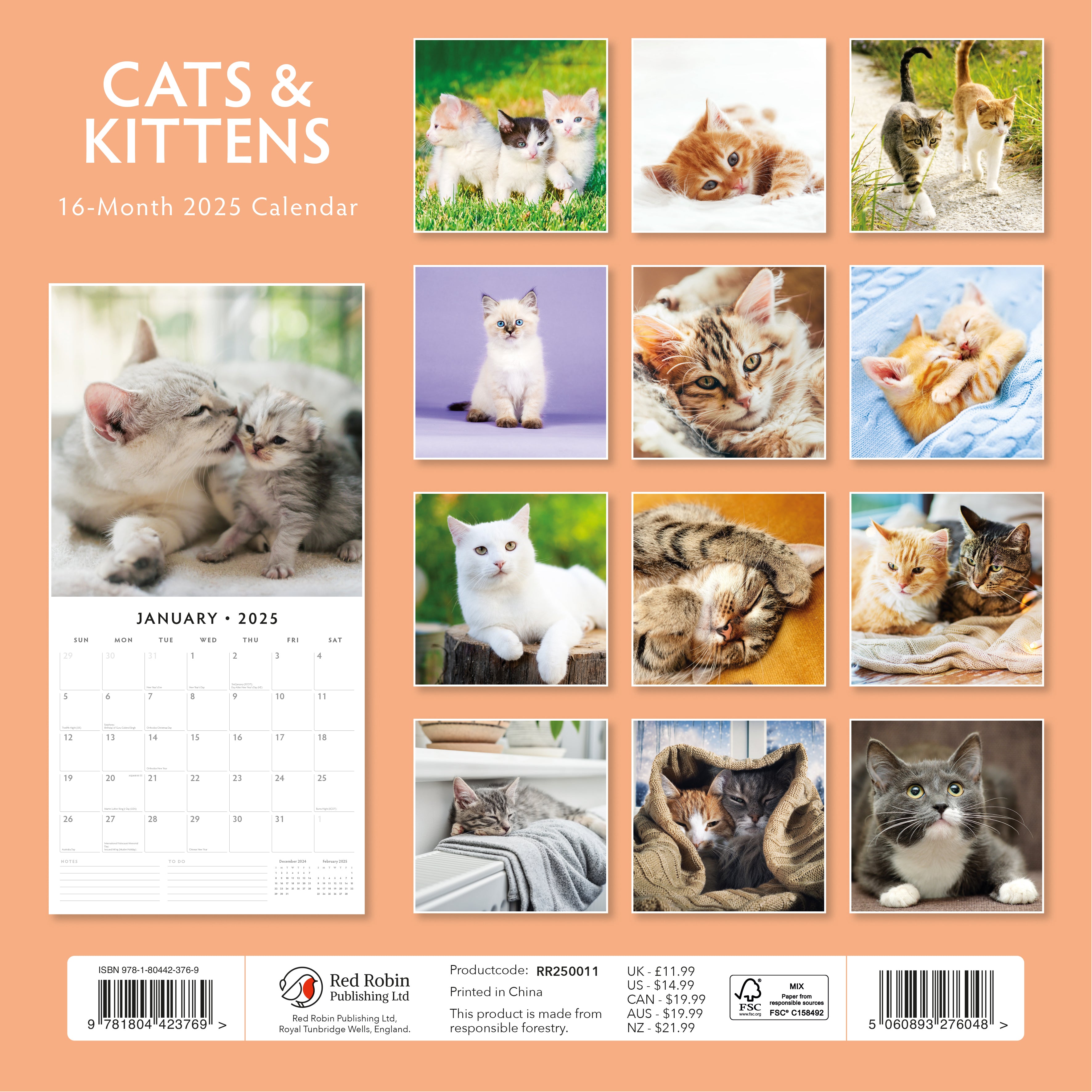 2025 Cats & Kittens - Square Wall Calendar