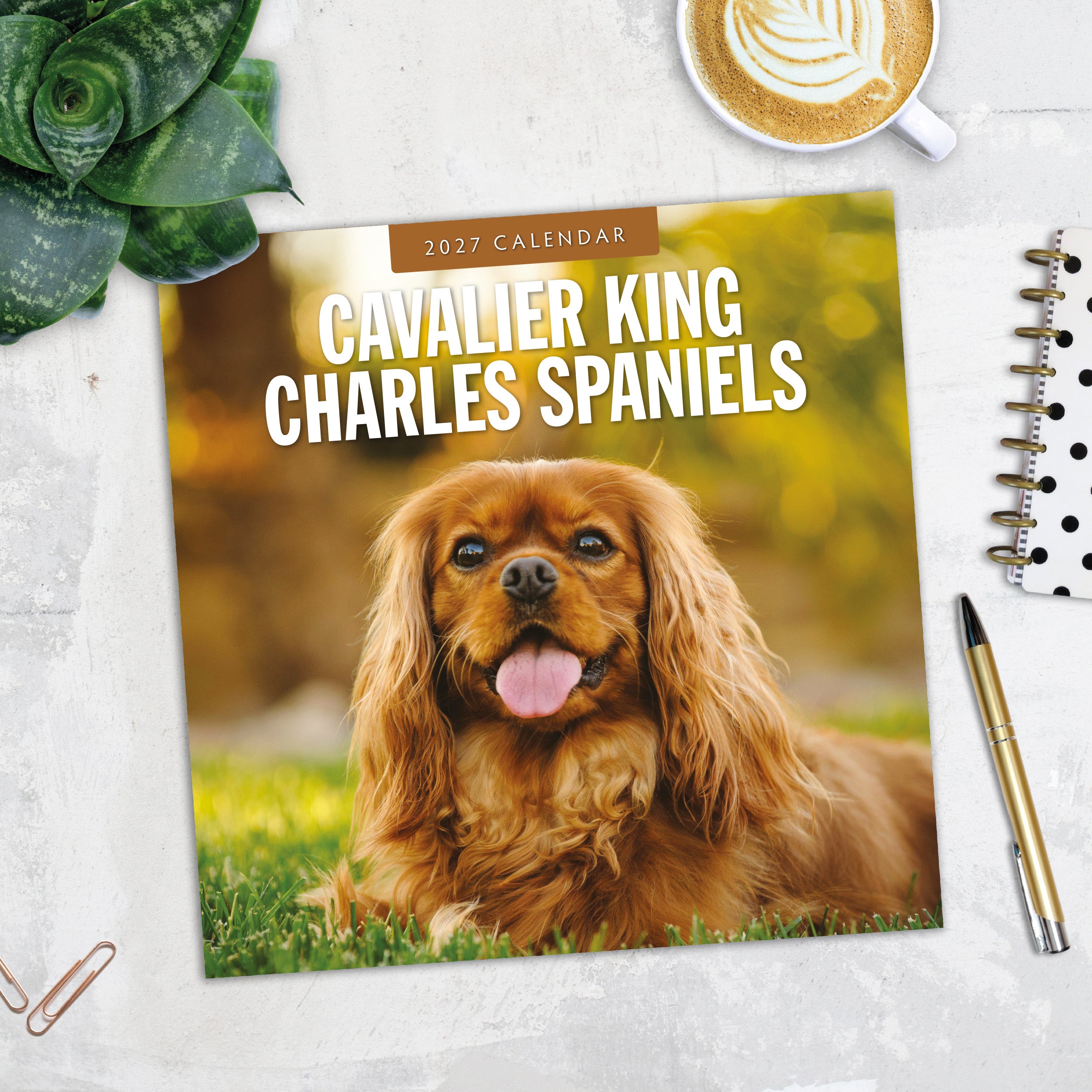 2027 Cavalier King Charles Spaniels - Square Wall Calendar
