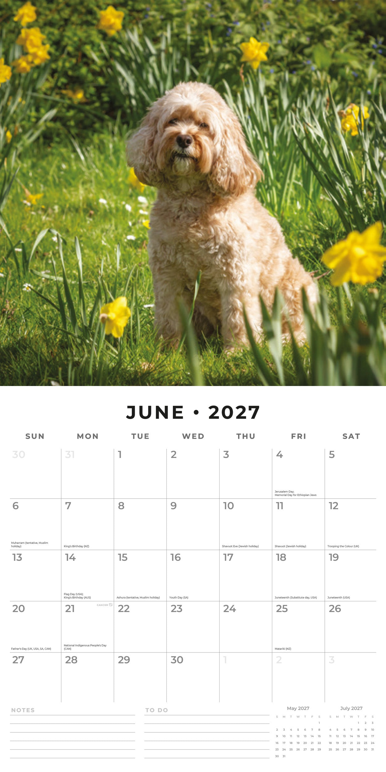 2027 Cavapoos - Square Wall Calendar