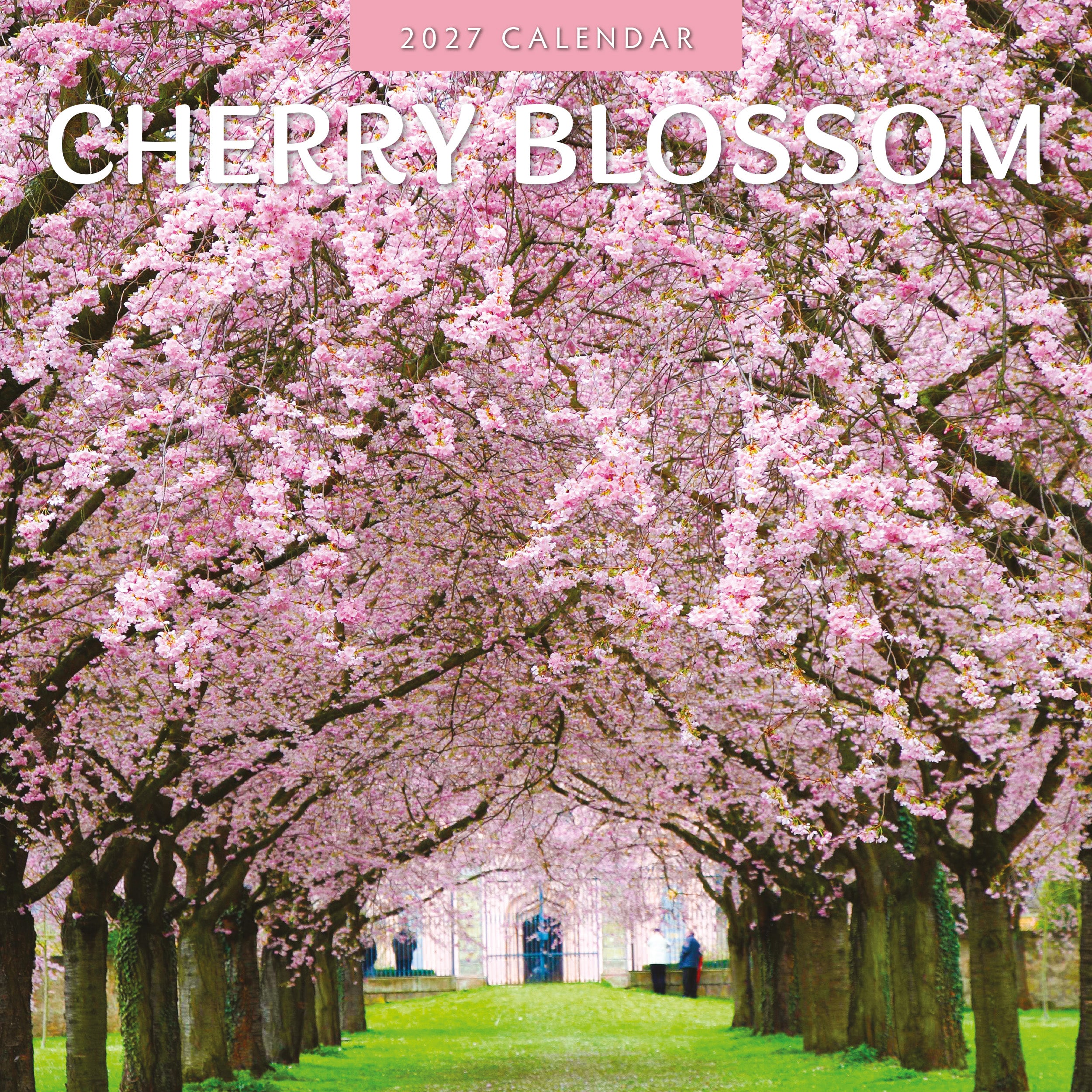 2027 Cherry Blossom - Square Wall Calendar