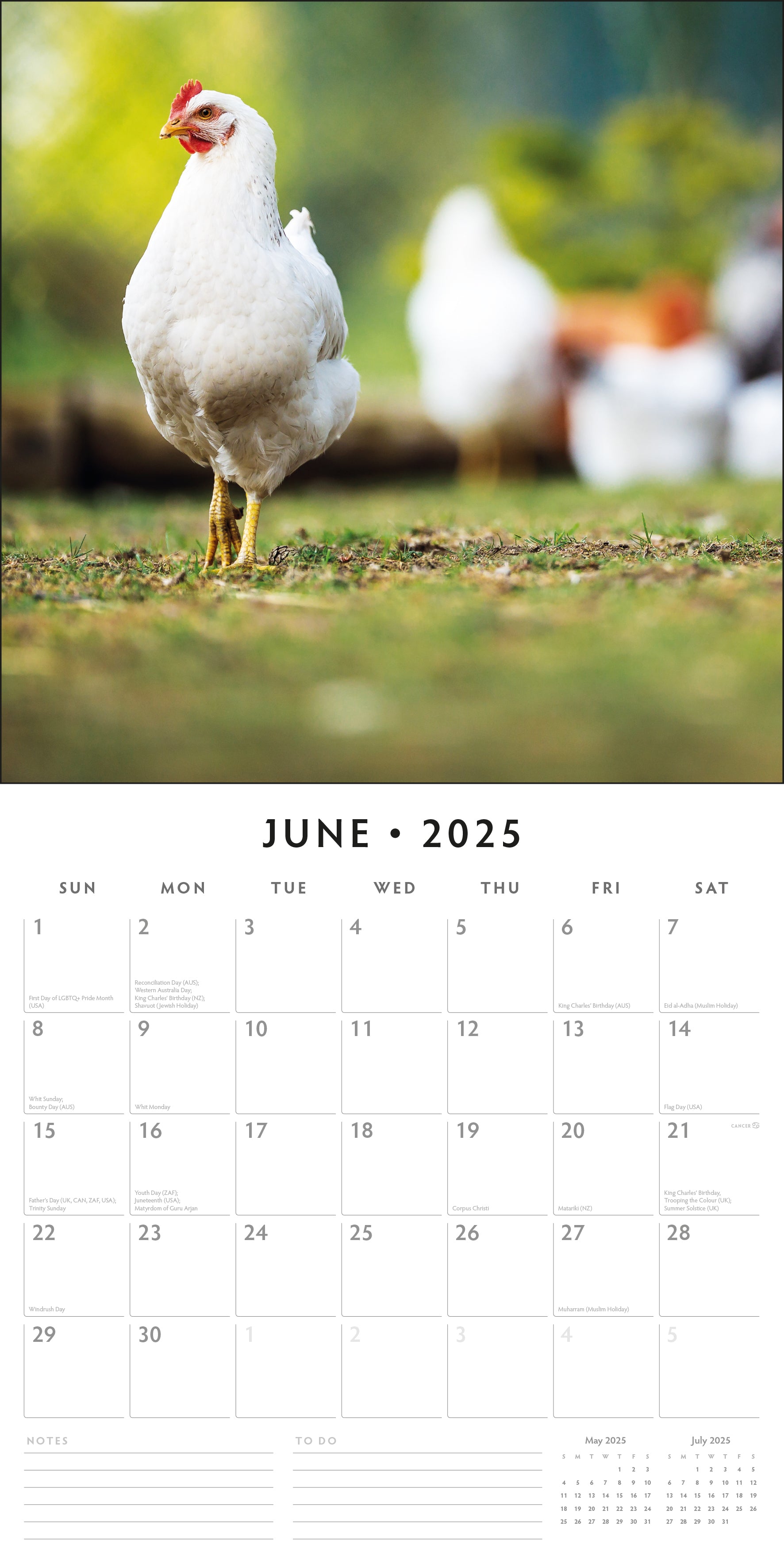 2025 Chickens - Square Wall Calendar