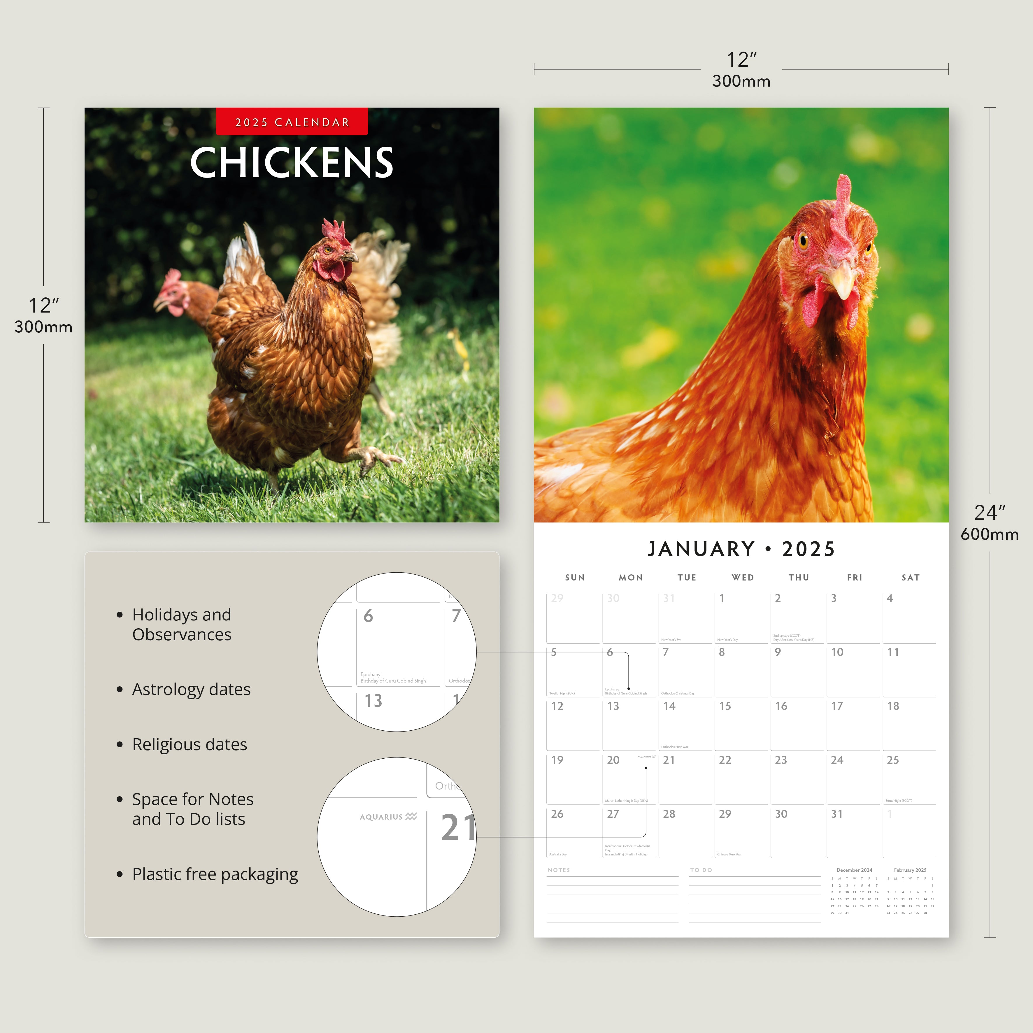 2025 Chickens - Square Wall Calendar