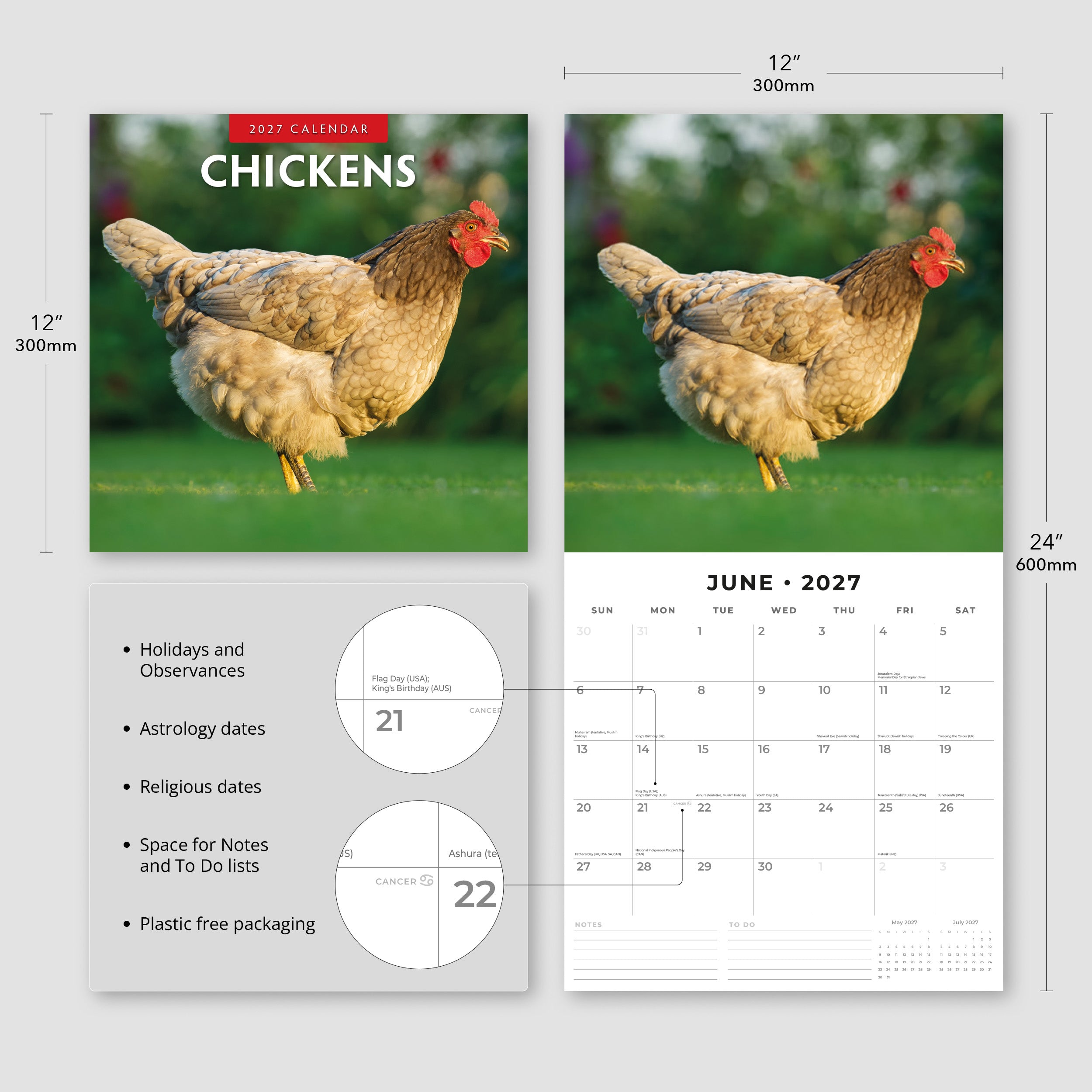 2027 Chickens - Square Wall Calendar