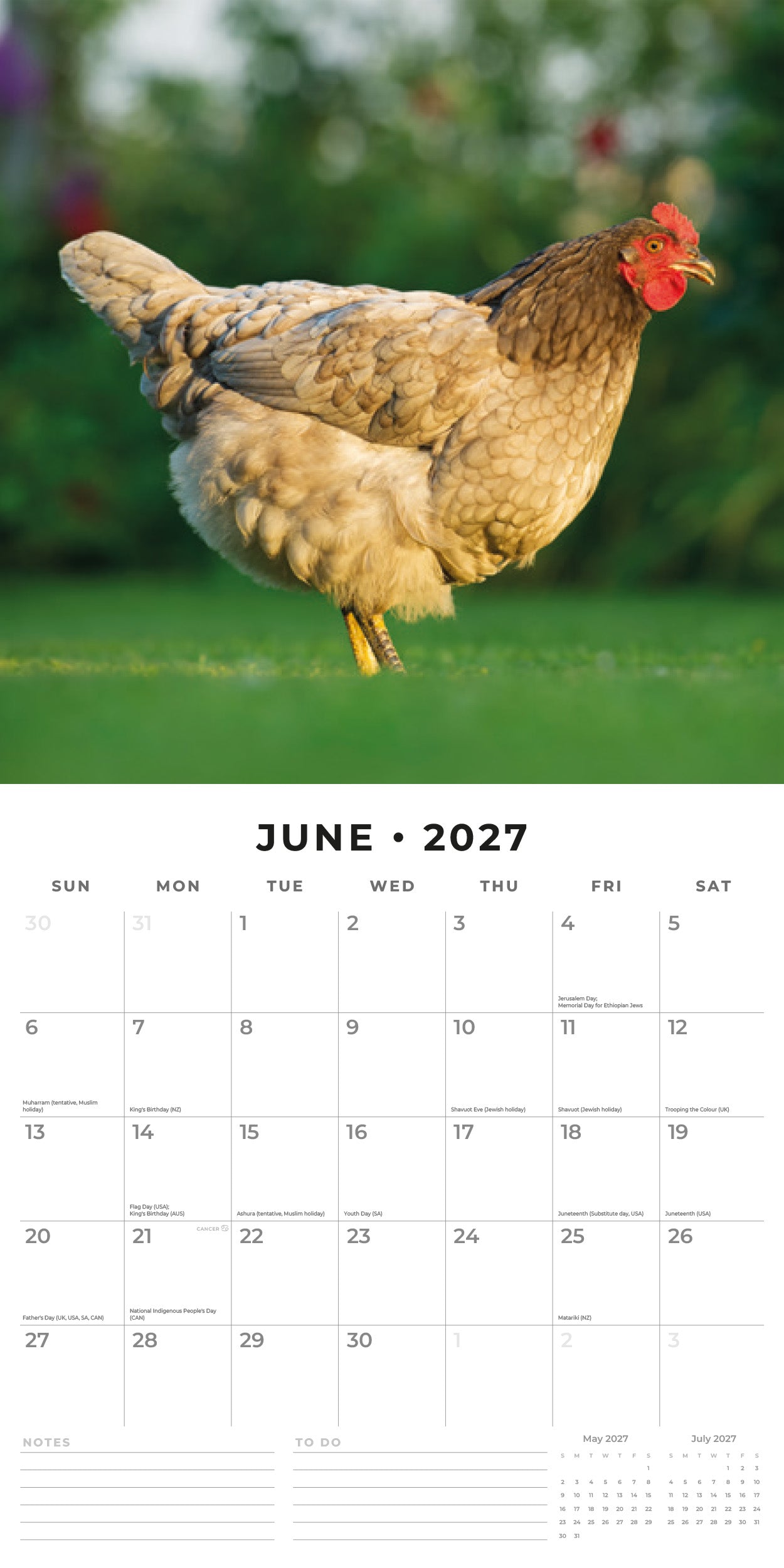 2027 Chickens - Square Wall Calendar