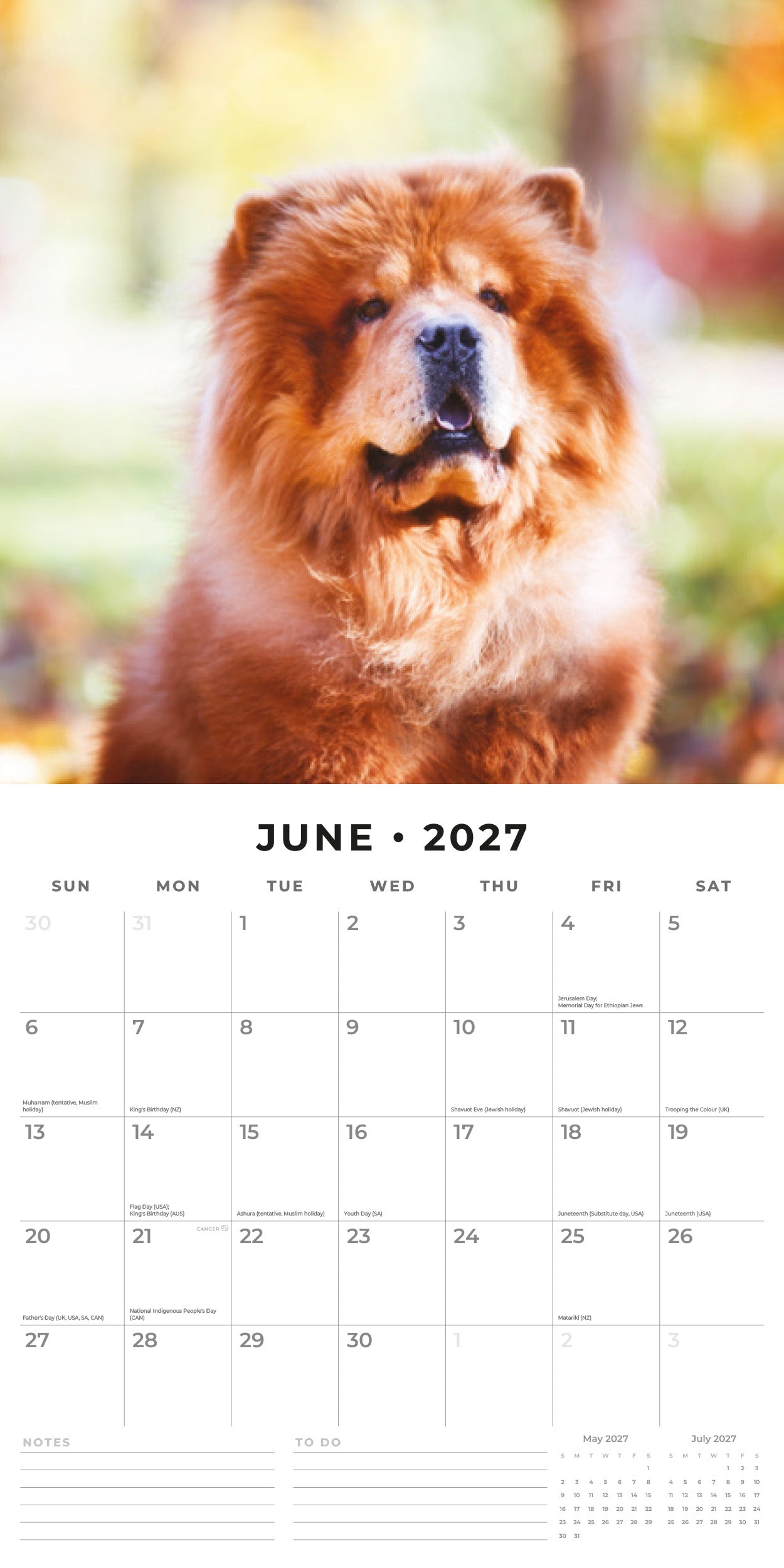 2027 Chow Chows - Square Wall Calendar