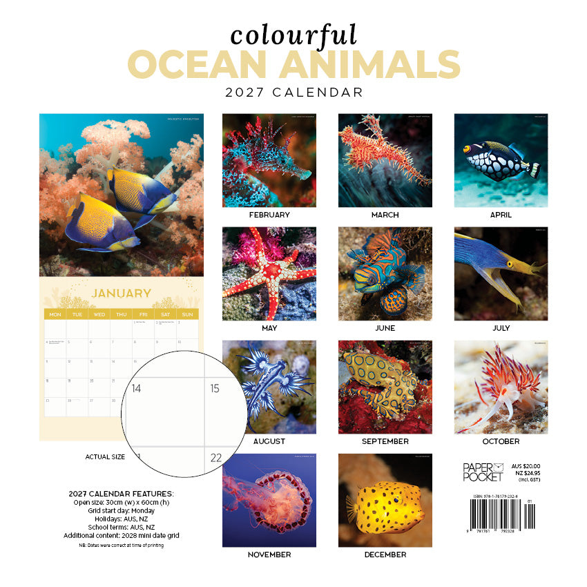 2027 Colourful Ocean Animals - Square Wall Calendar