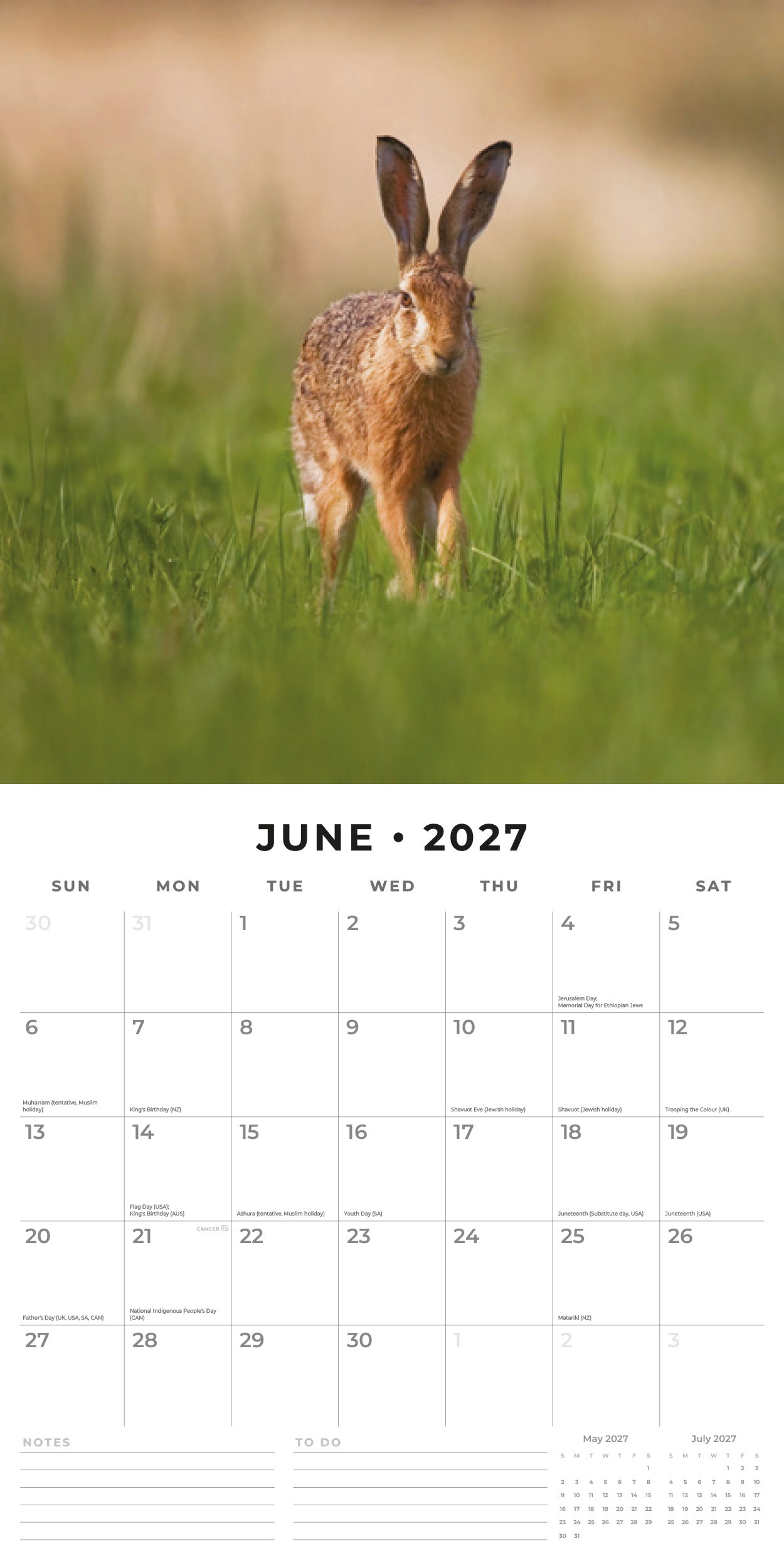 2027 Country Wildlife - Square Wall Calendar