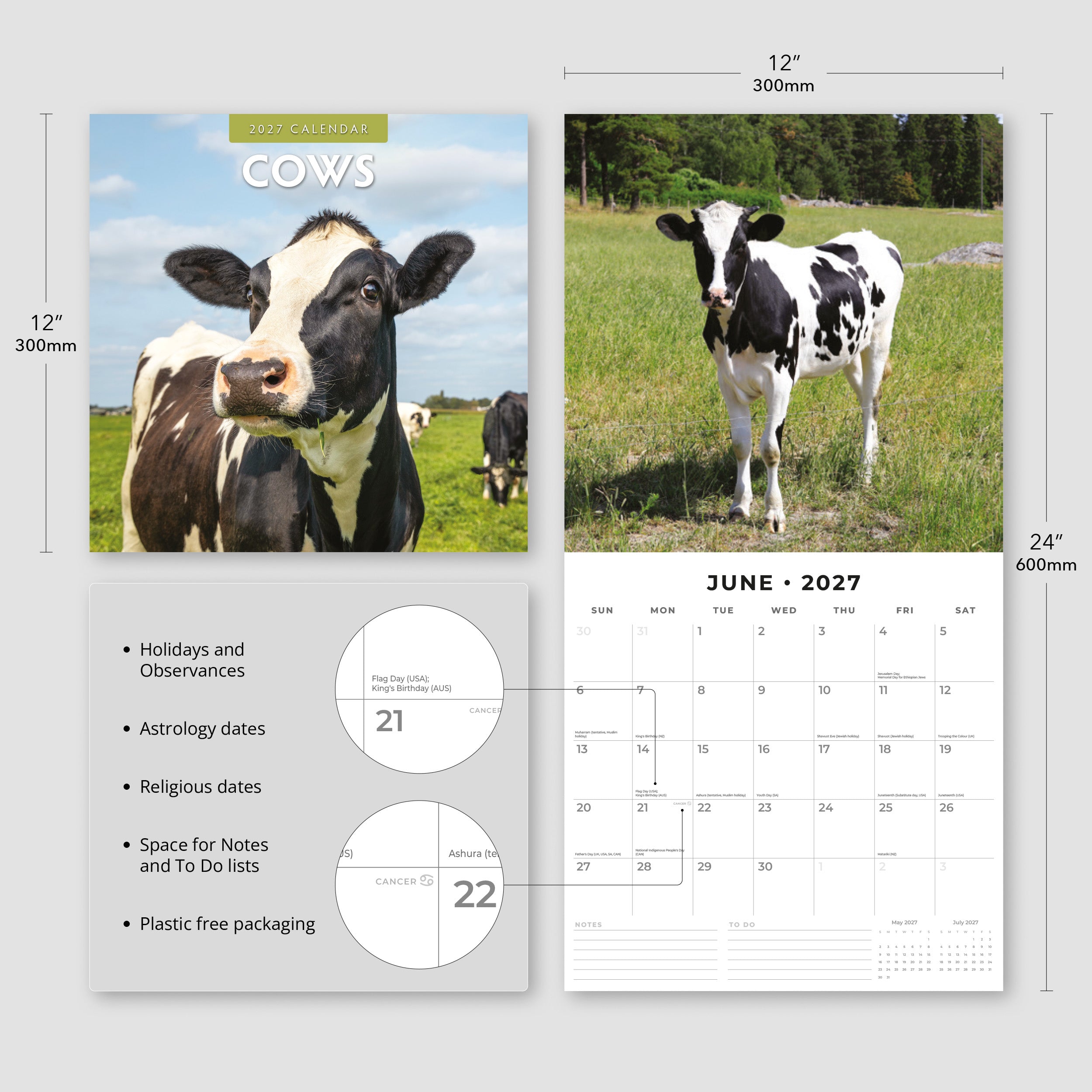 2027 Cows - Square Wall Calendar