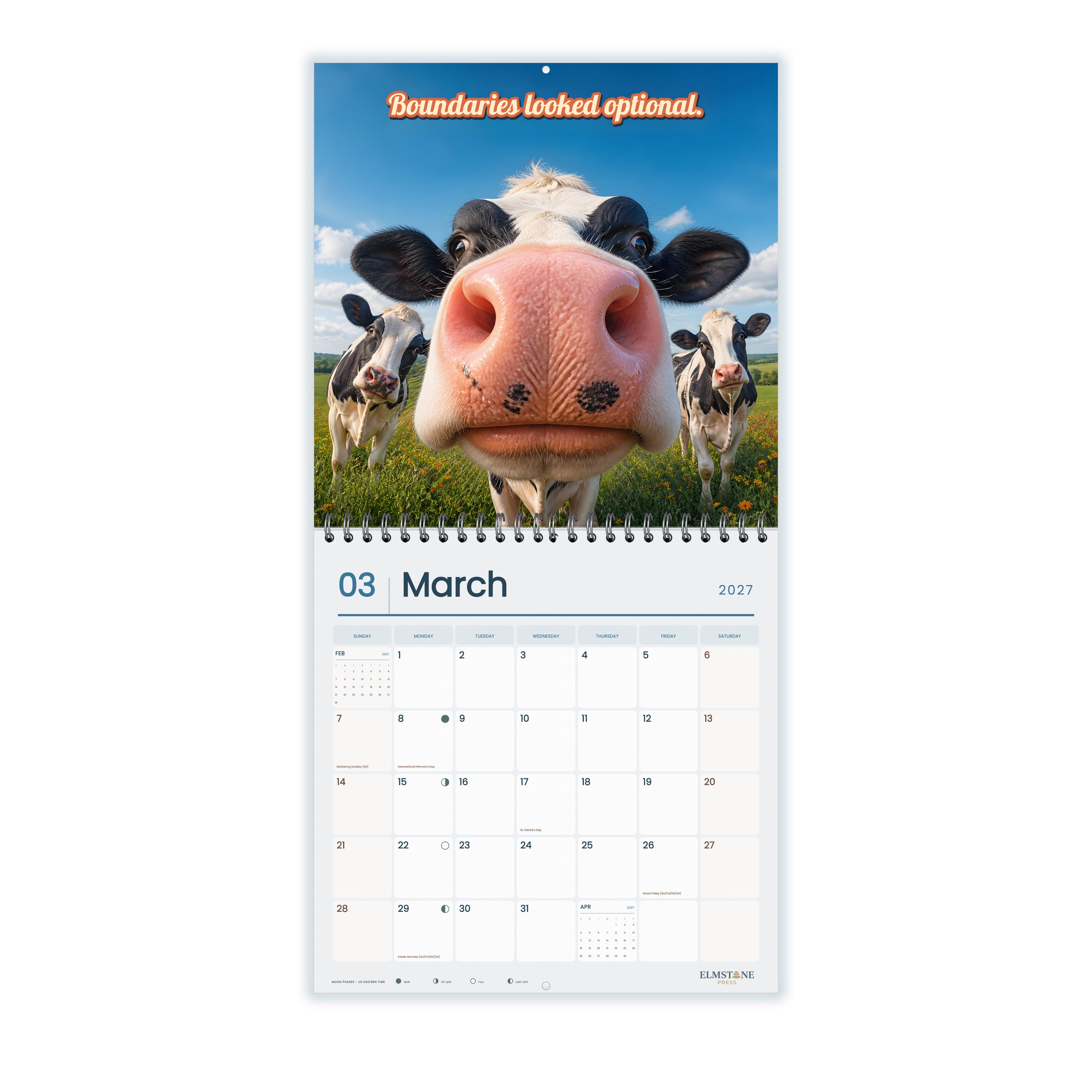 Cows_Outstanding_in_Their_Field_-_649310202584_-_02-march-open-white.jpg