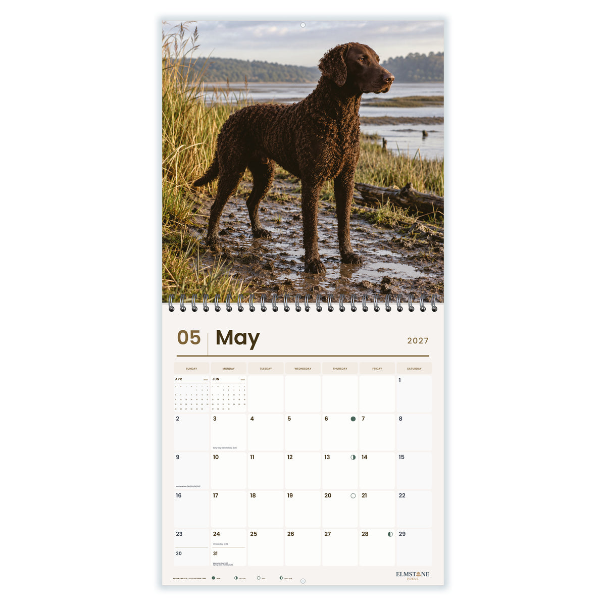 Curly-Coated_Retrievers_-_649310203369_-_03-may-open-white.jpg