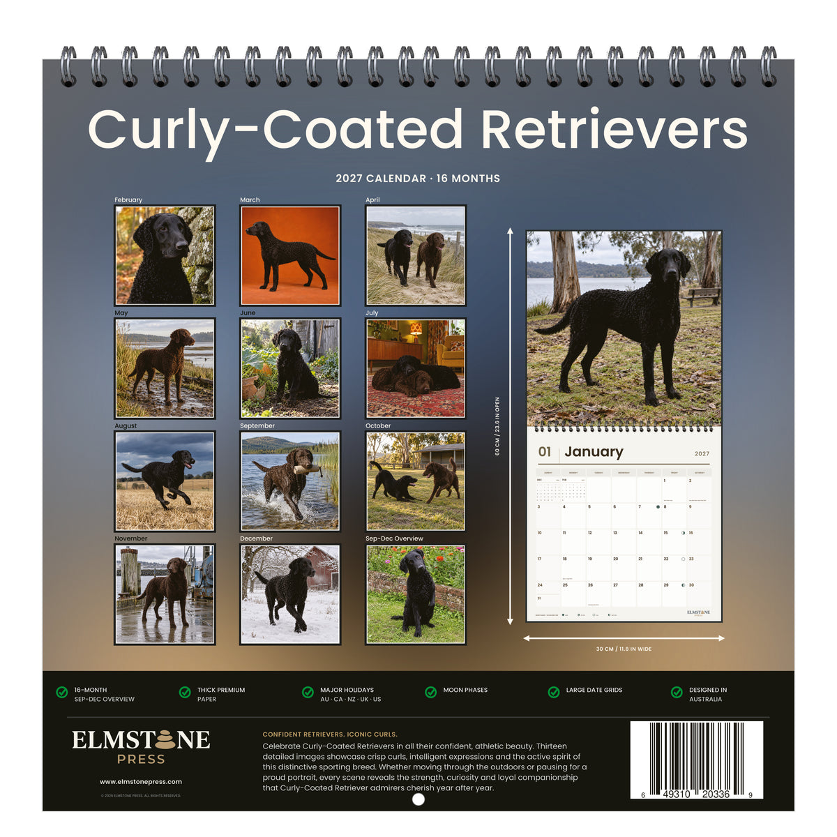Curly-Coated_Retrievers_-_649310203369_-_05-back-cover-white.jpg
