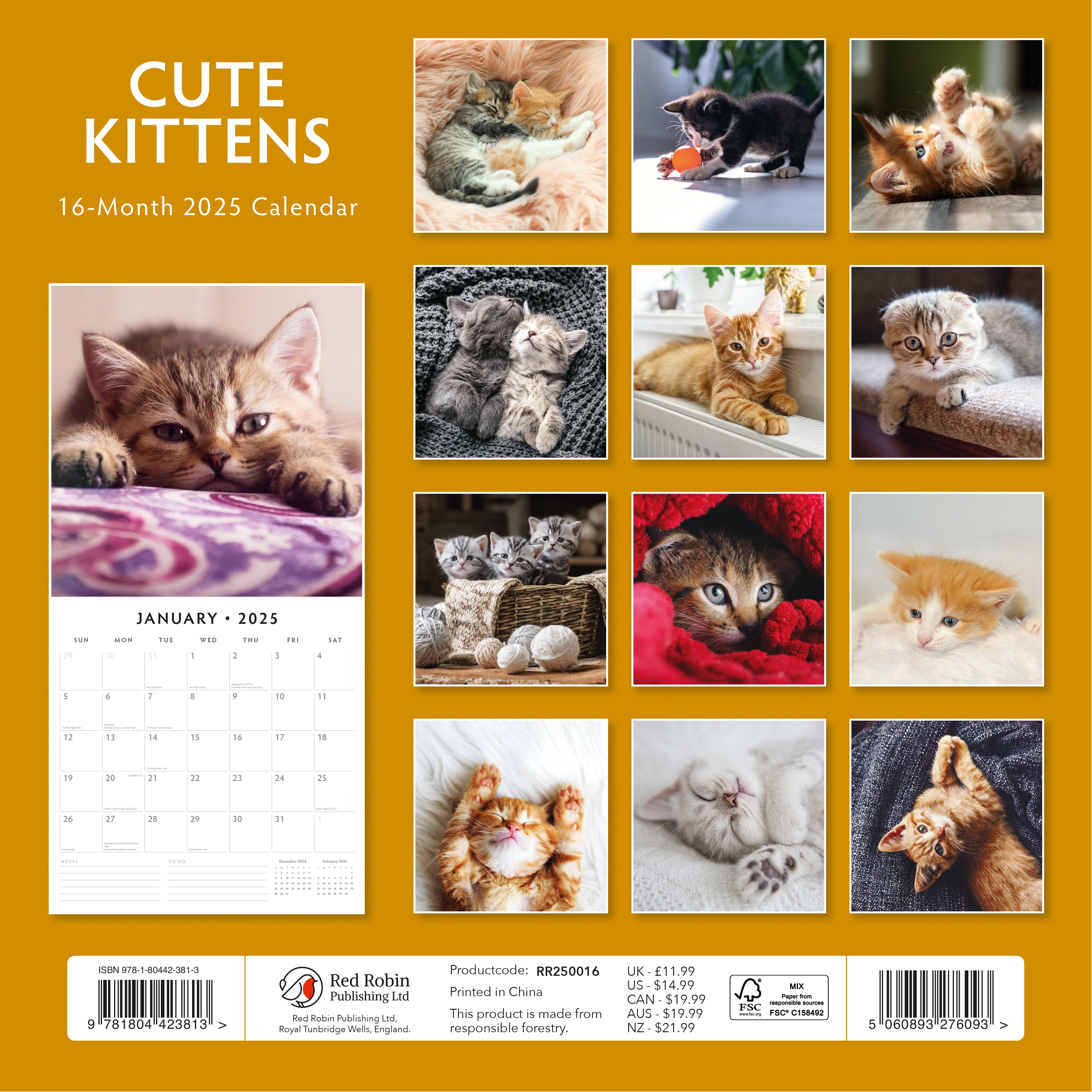 2025 Cute Kittens - Square Wall Calendar