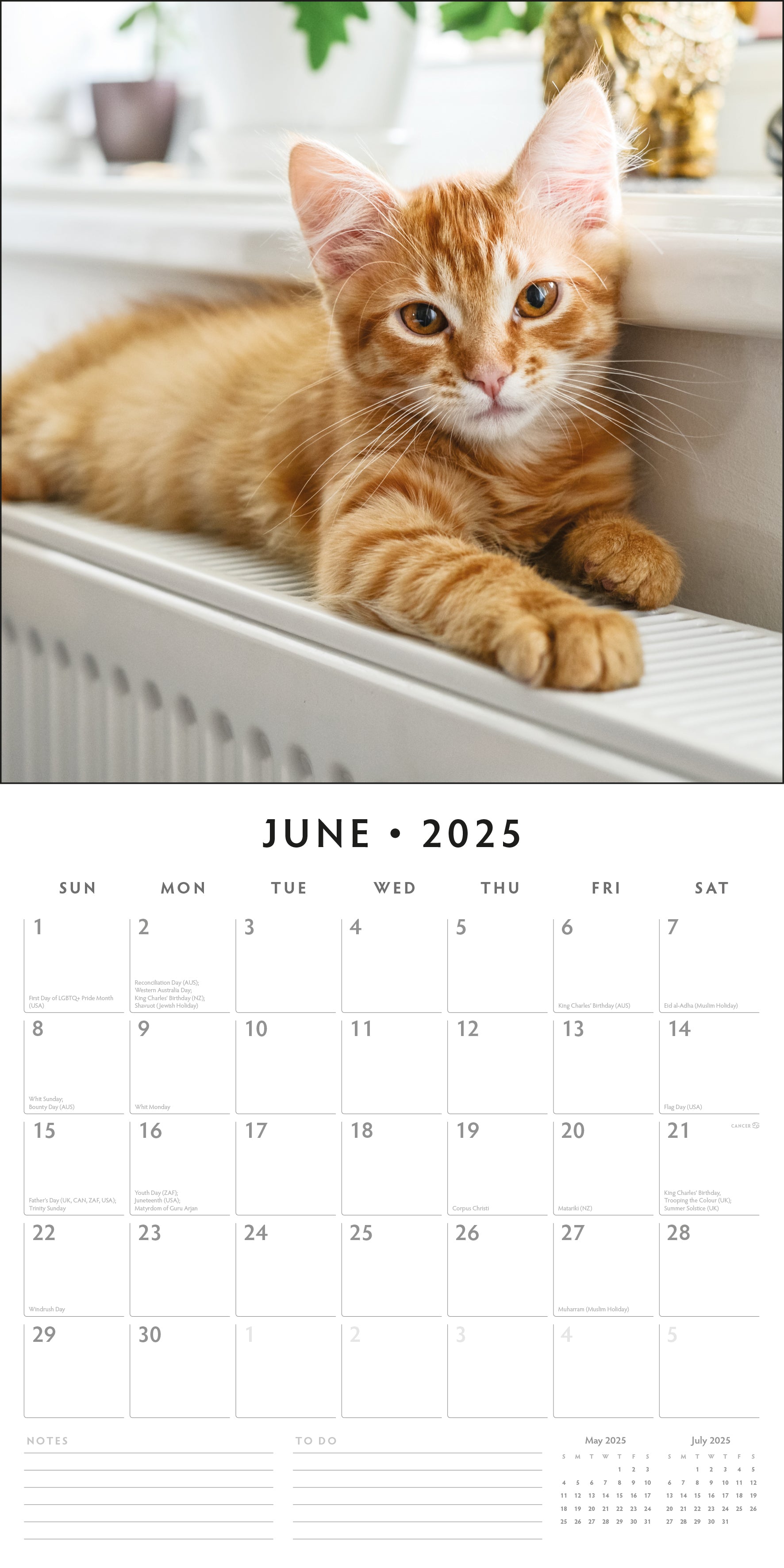 2025 Cute Kittens - Square Wall Calendar