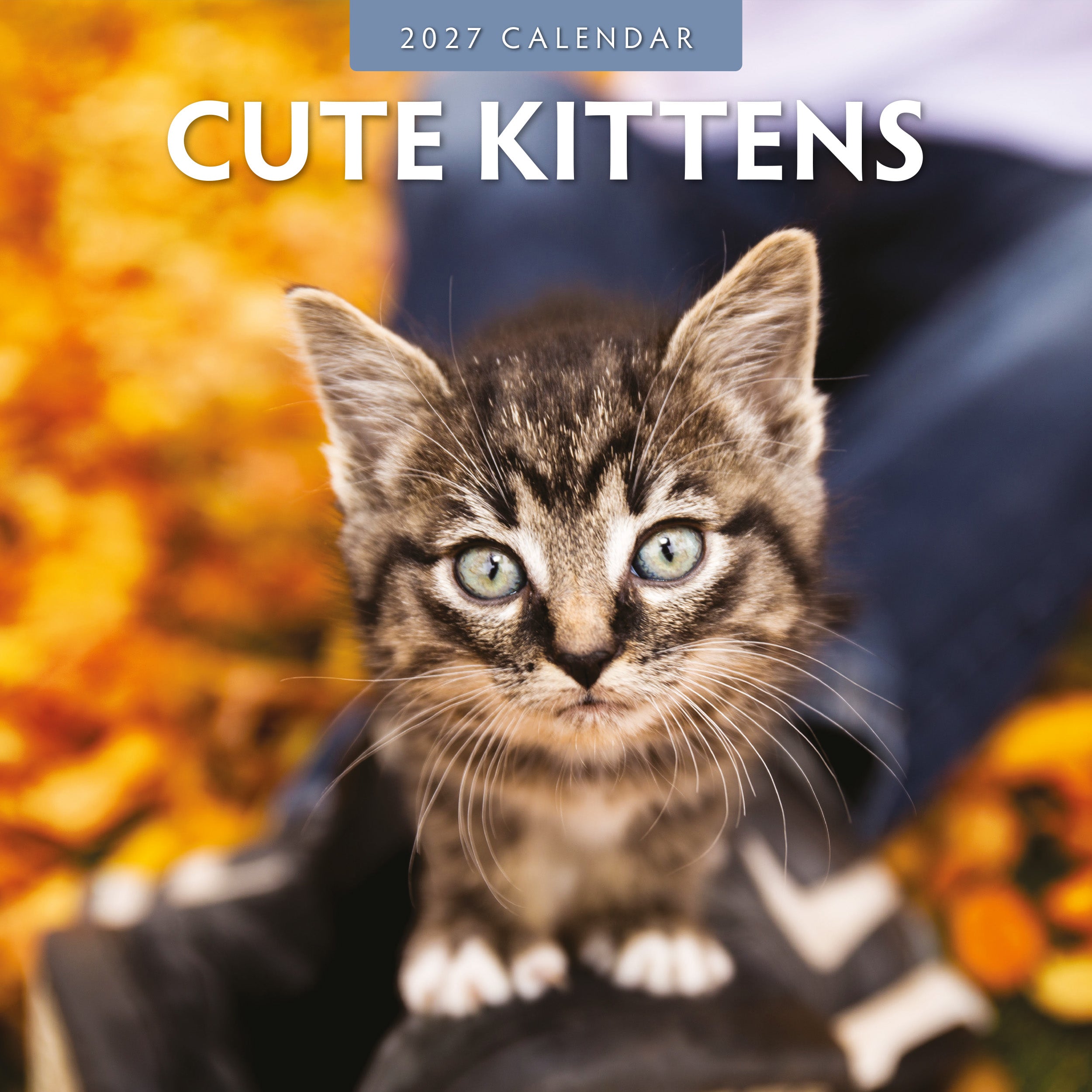 2027 Cute Kittens - Square Wall Calendar
