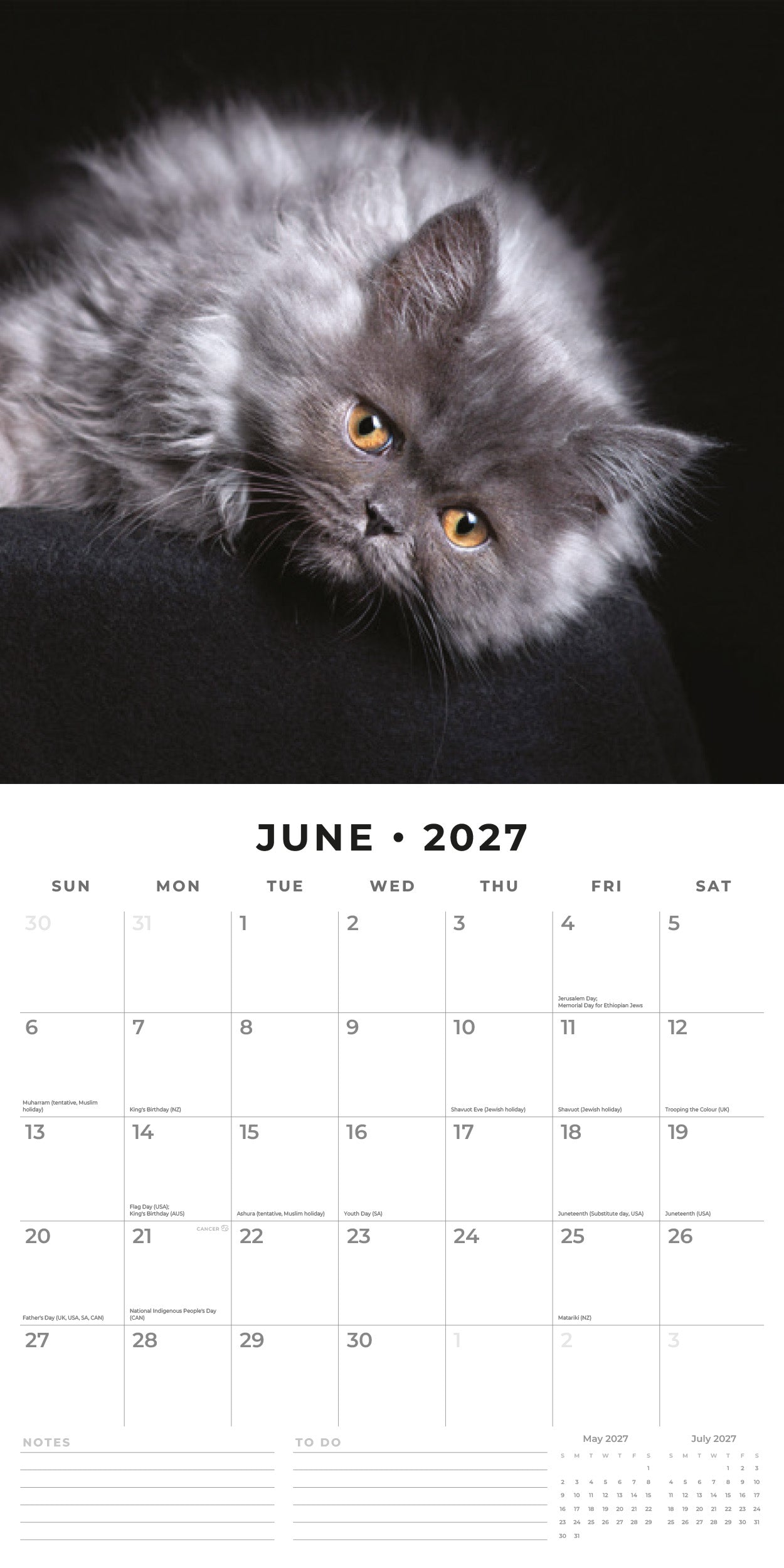 2027 Cute Kittens - Square Wall Calendar
