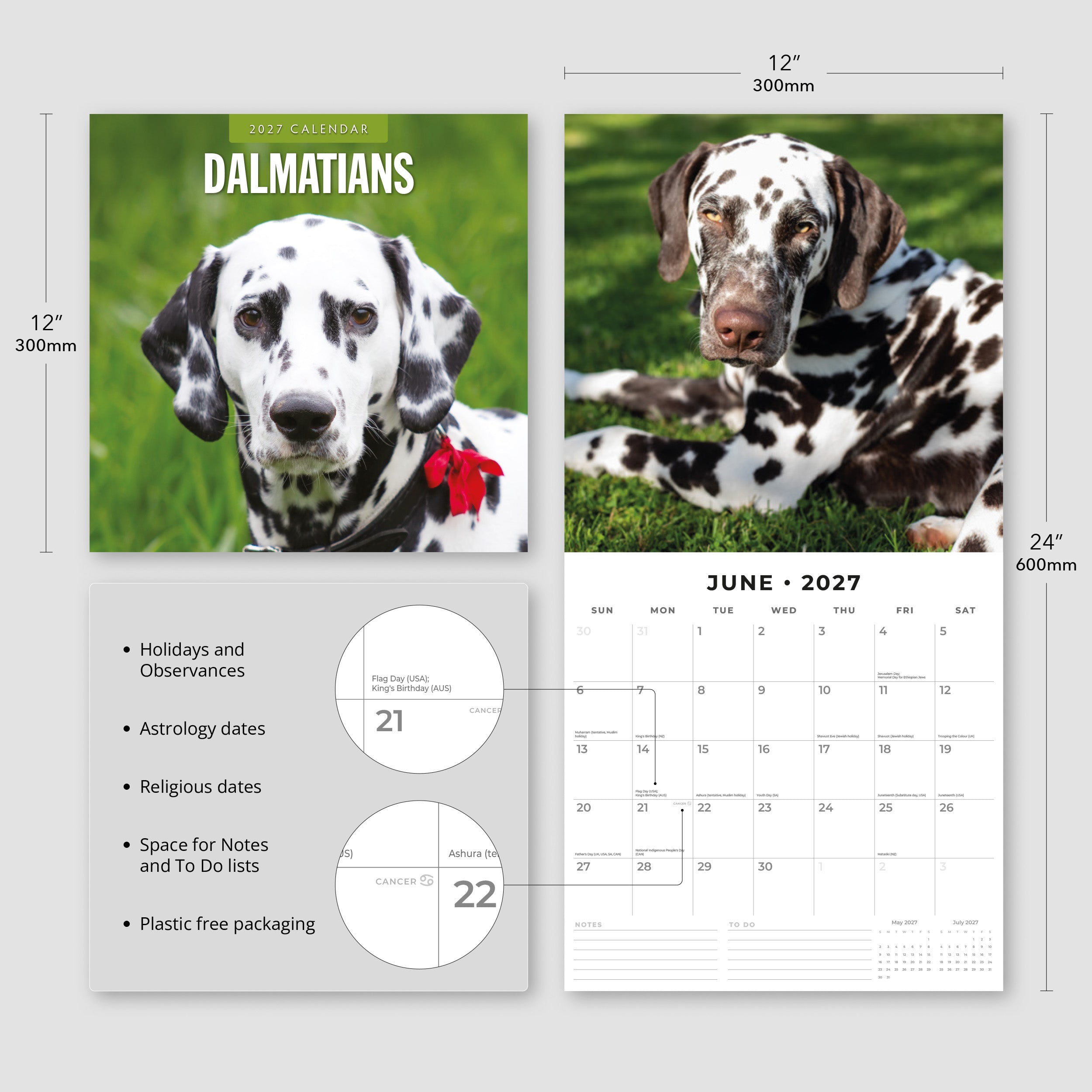 2027 Dalmatians - Square Wall Calendar