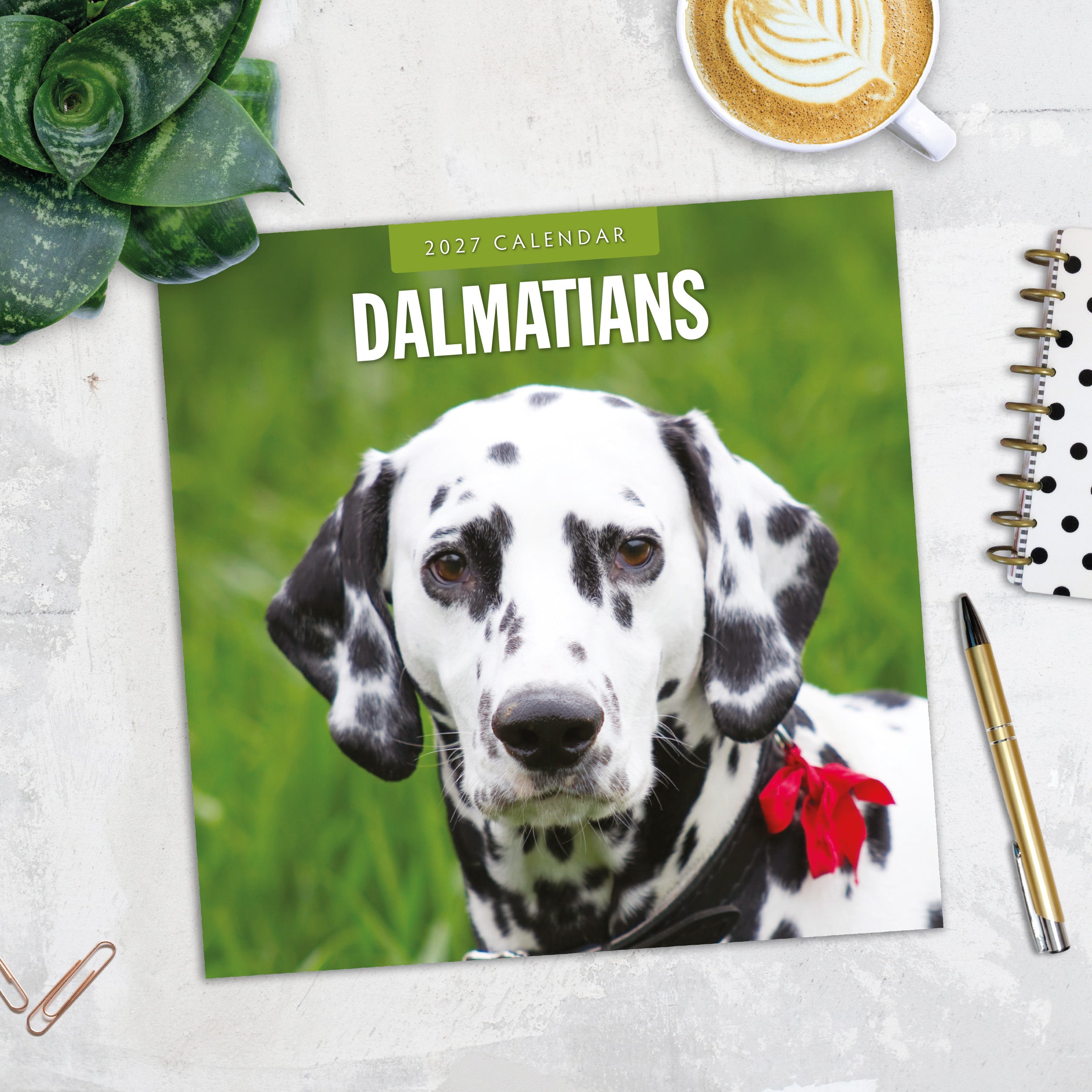 2027 Dalmatians - Square Wall Calendar