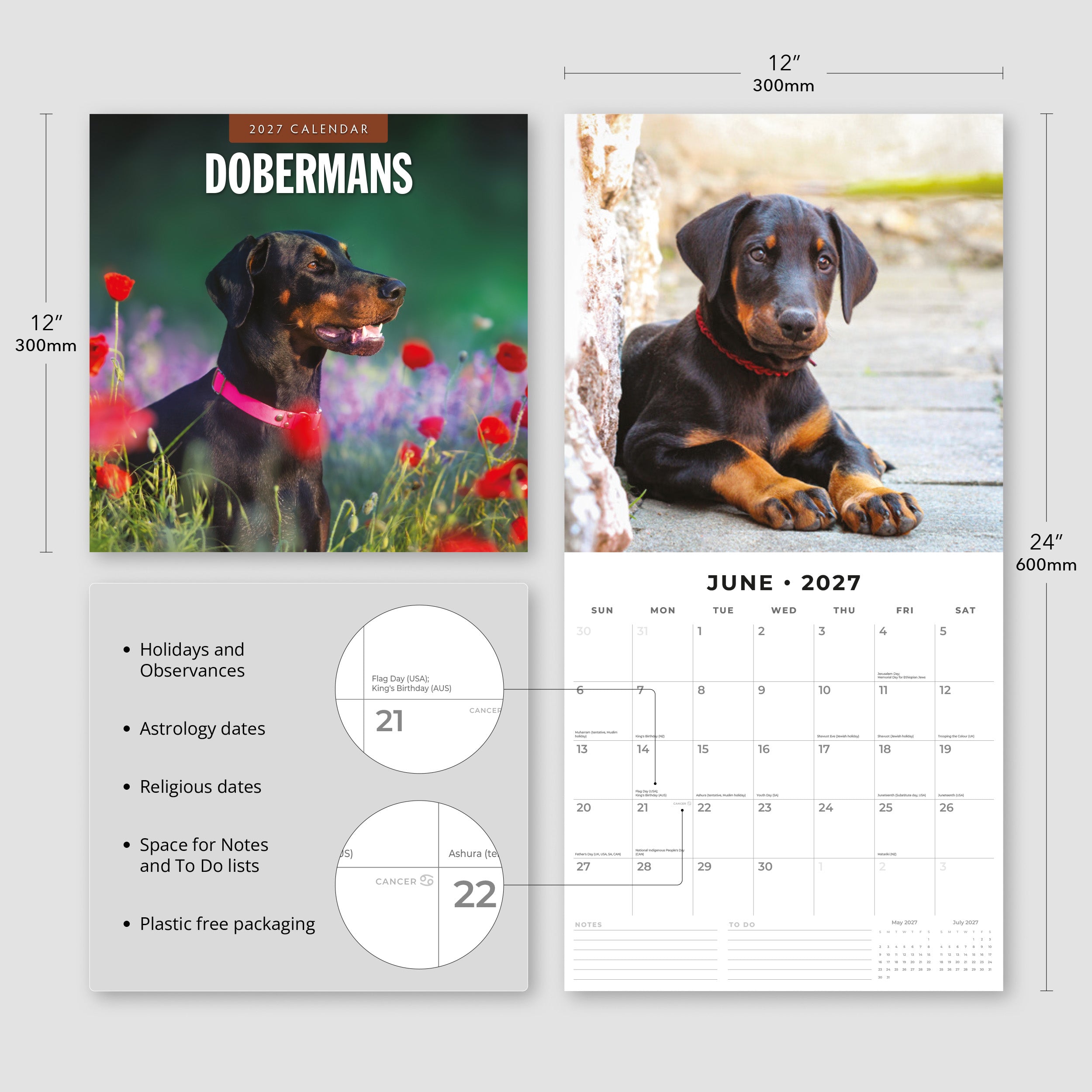 2027 Dobermans - Square Wall Calendar