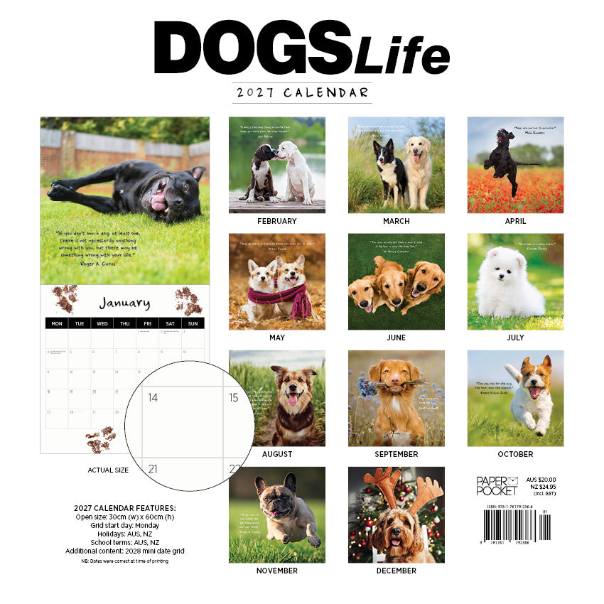 2027 Dogs Life - Square Wall Calendar