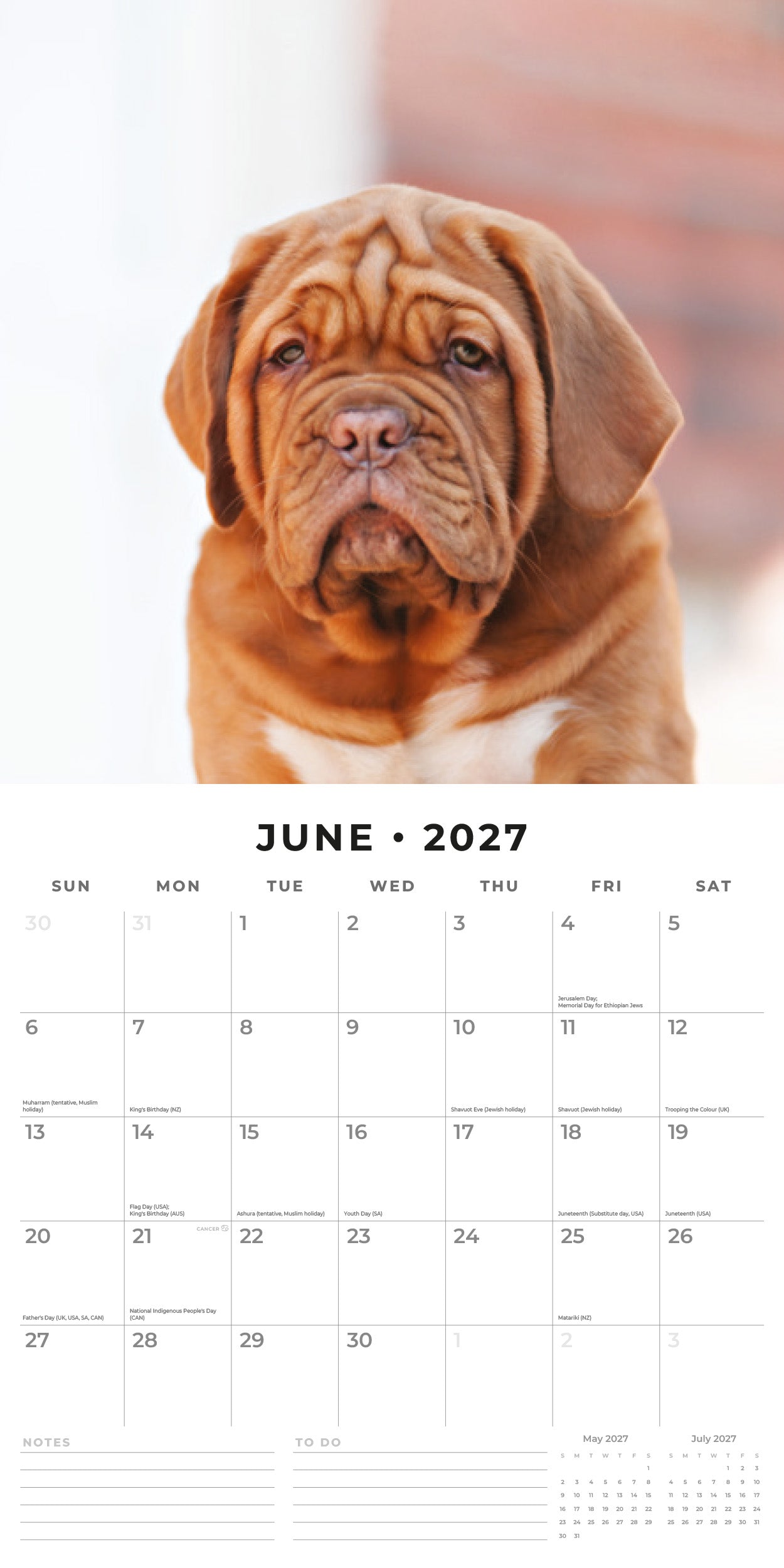 2027 Dogues de Bordeaux - Square Wall Calendar