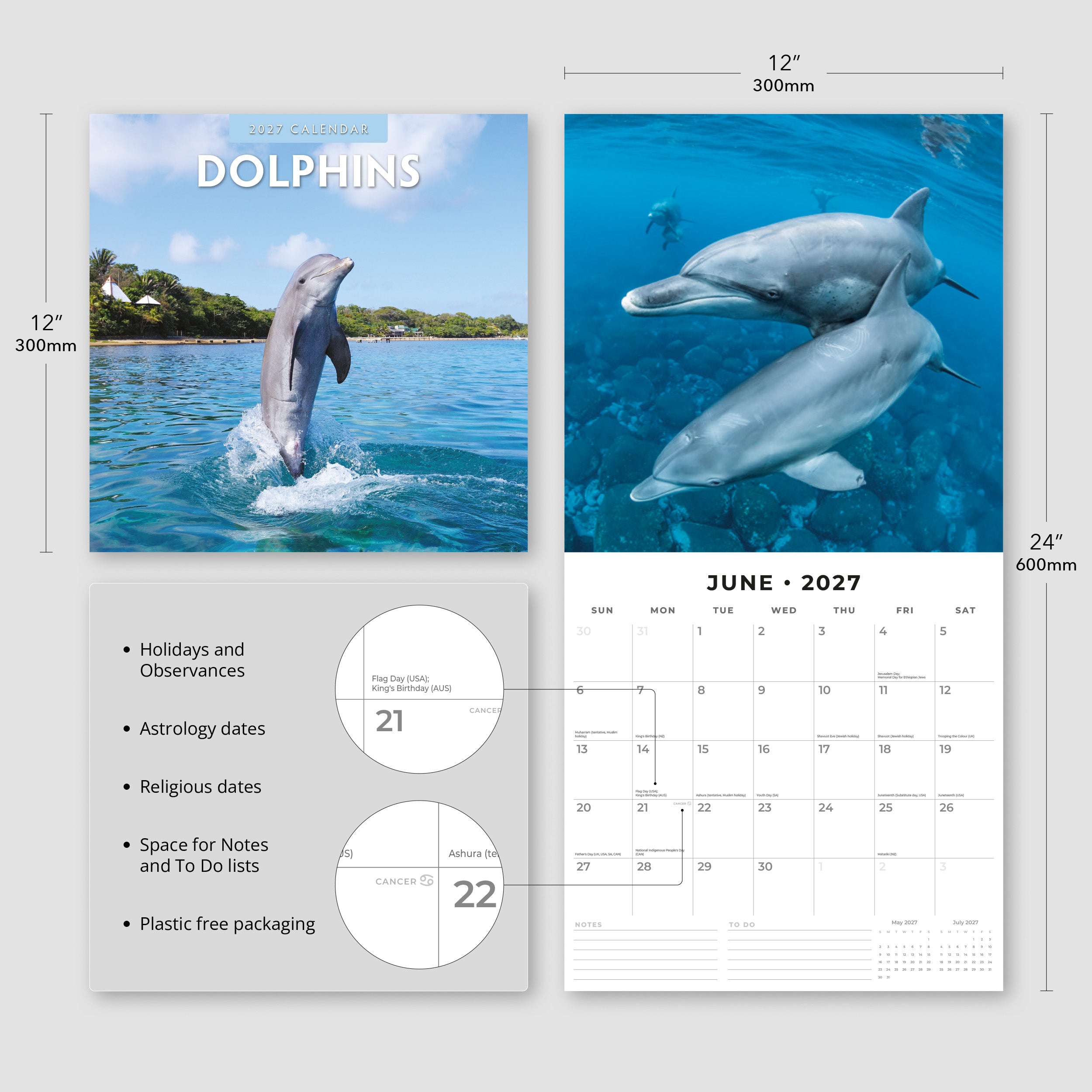 2027 Dolphins - Square Wall Calendar