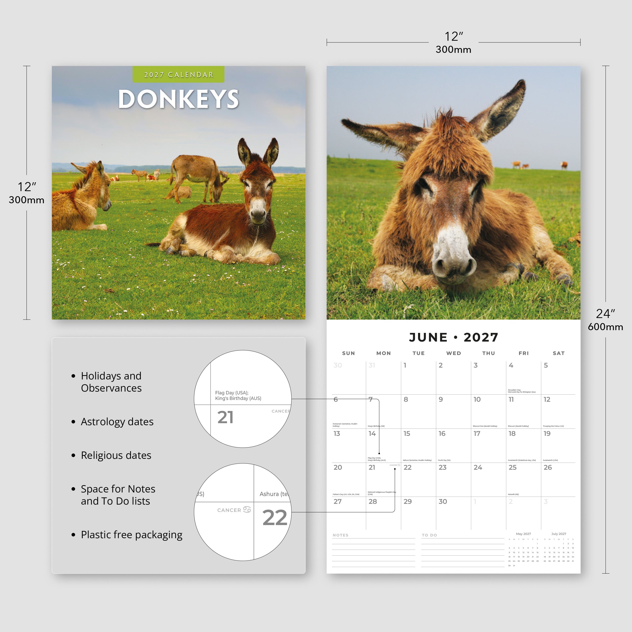 2027 Donkeys - Square Wall Calendar