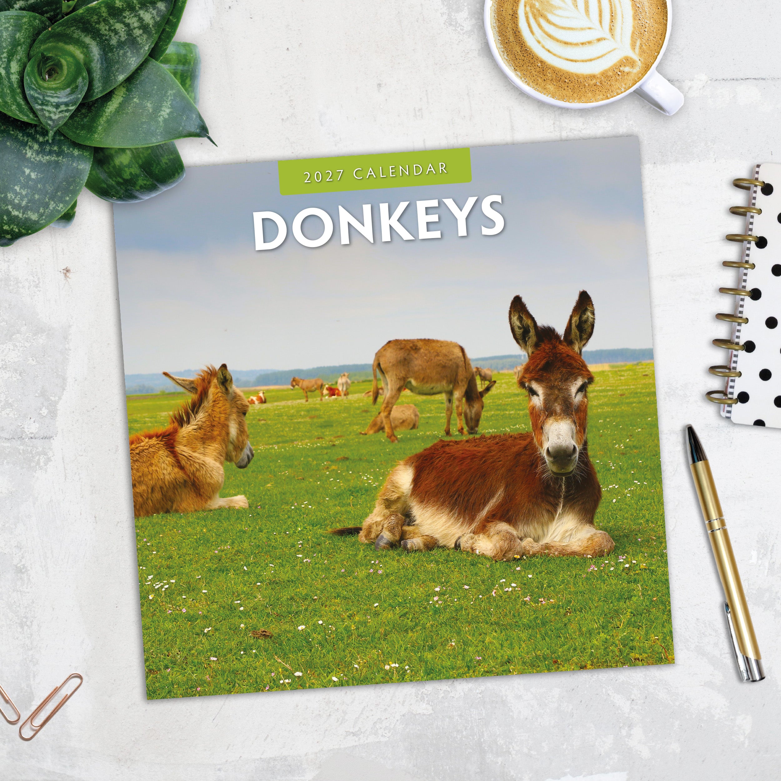 2027 Donkeys - Square Wall Calendar
