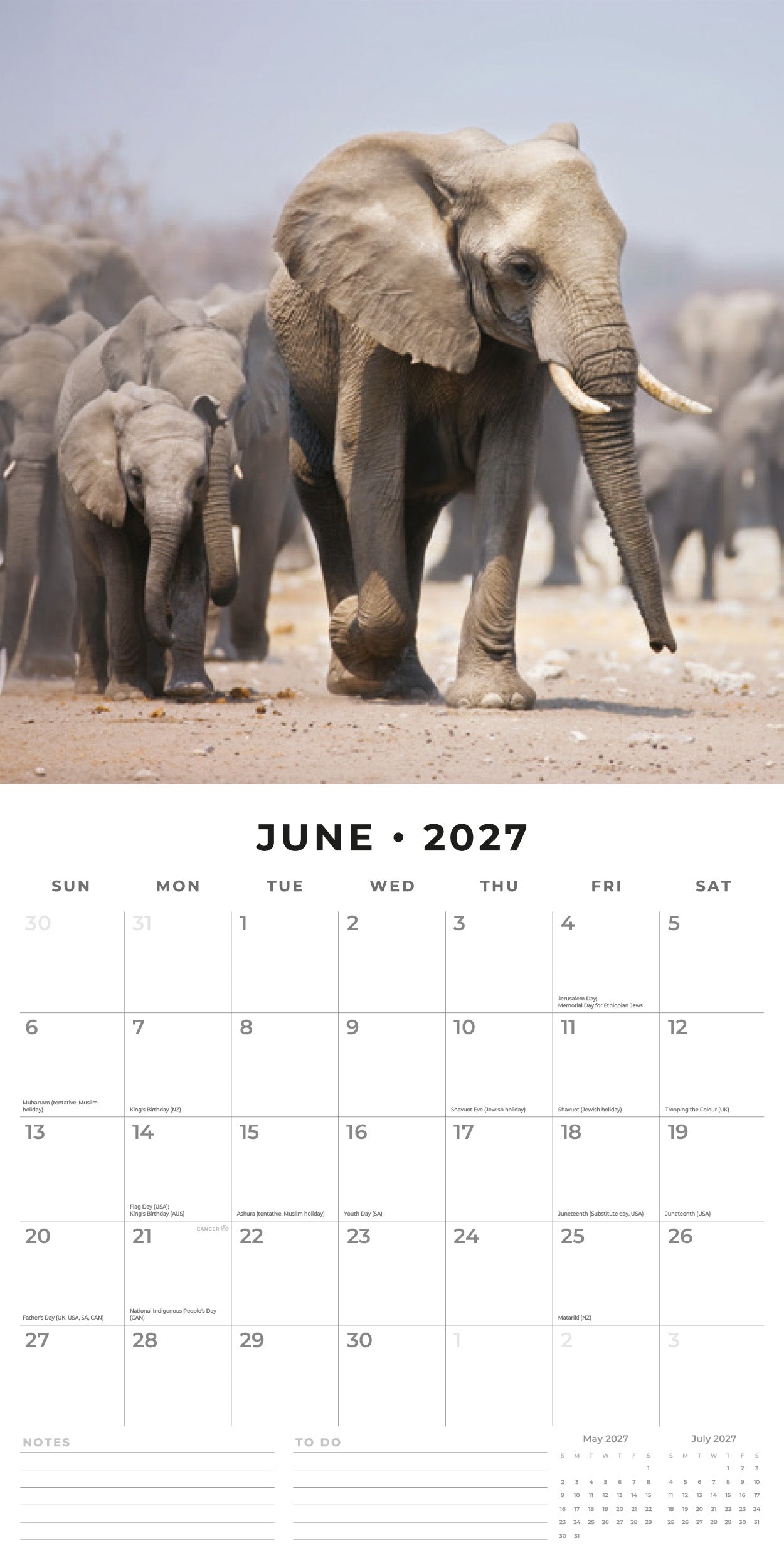 2027 Elephants - Square Wall Calendar