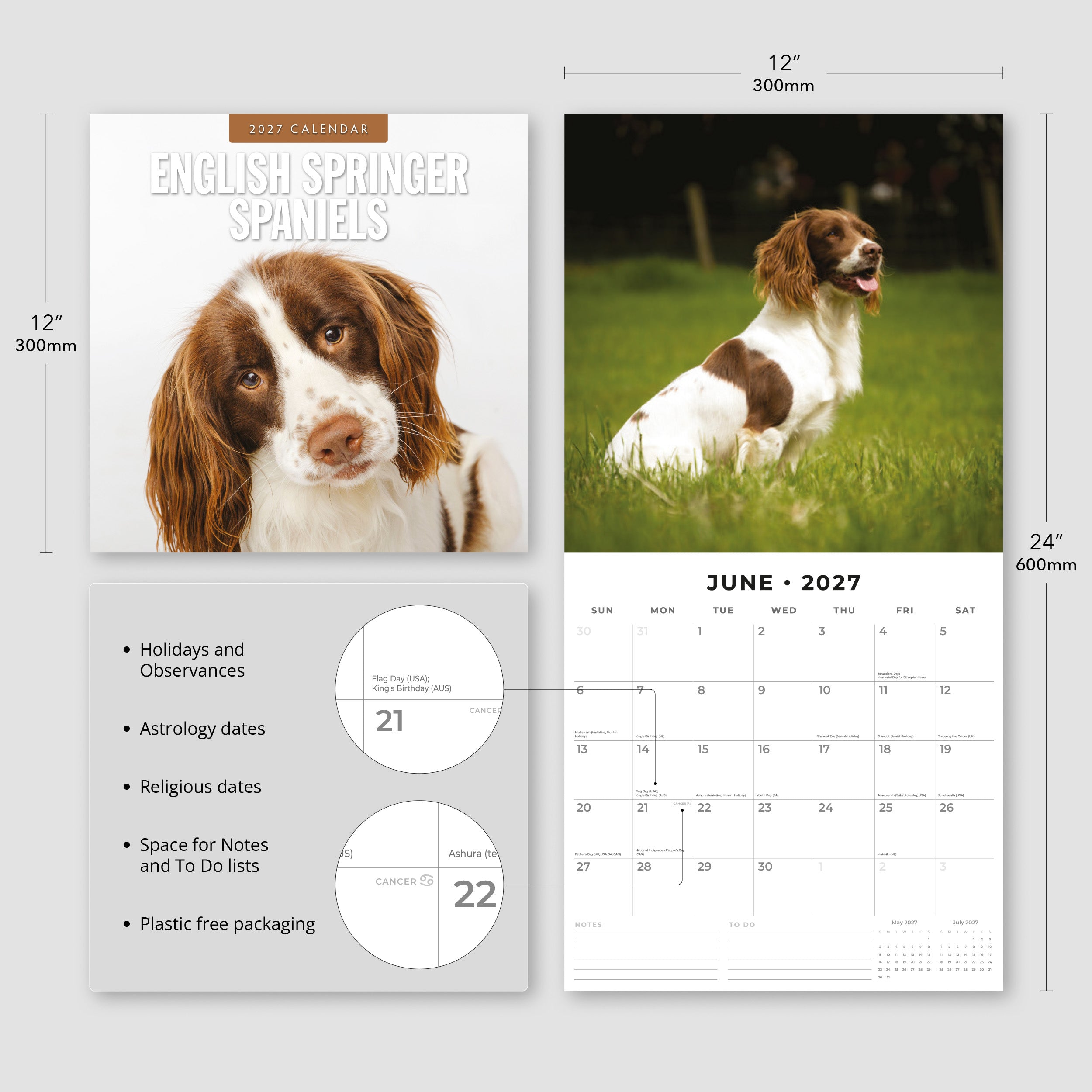 2027 English Springer Spaniels - Square Wall Calendar